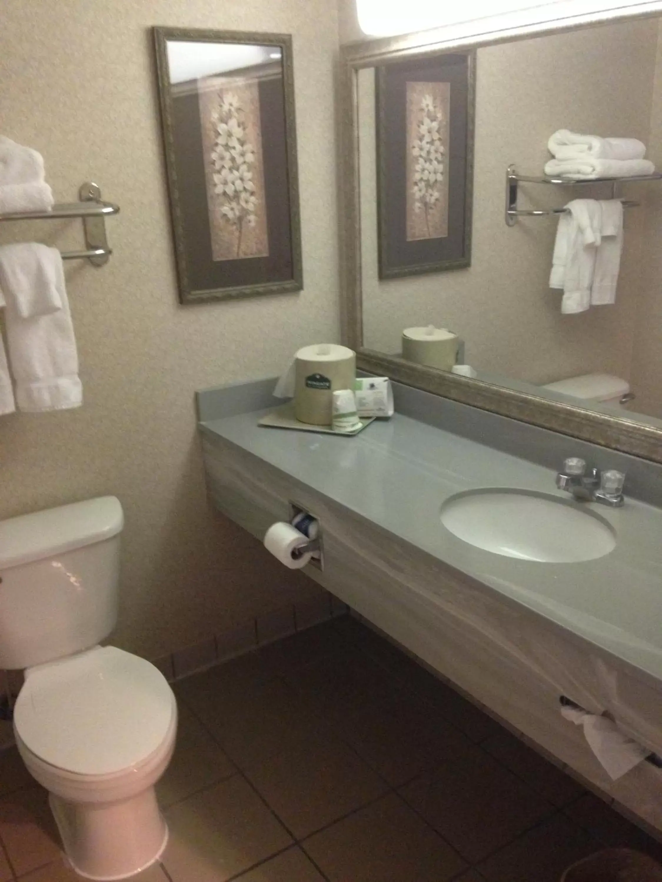 Bathroom in Wingate by Wyndham Augusta