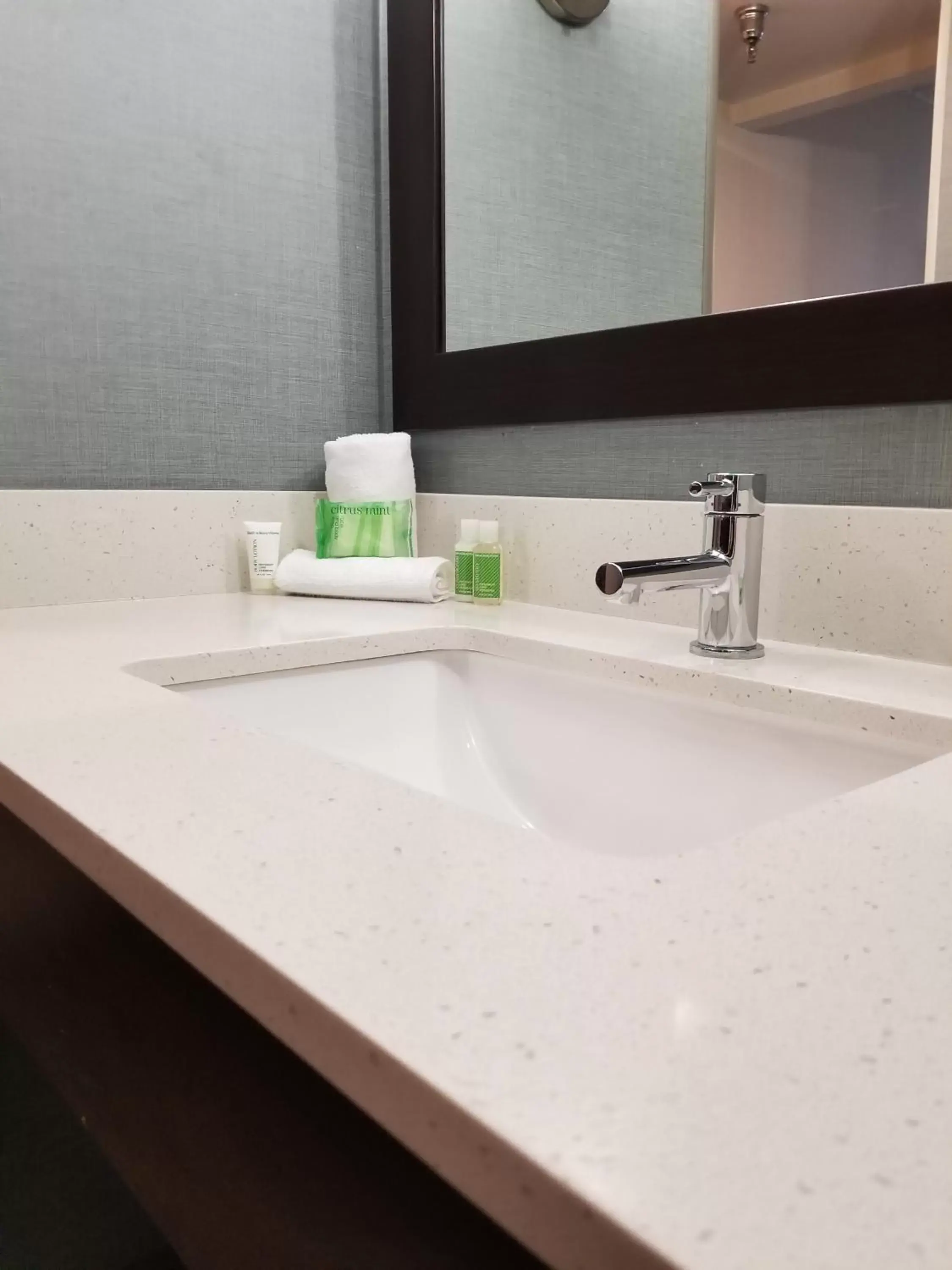 Bathroom in Holiday Inn Youngstown-South - Boardman, an IHG Hotel