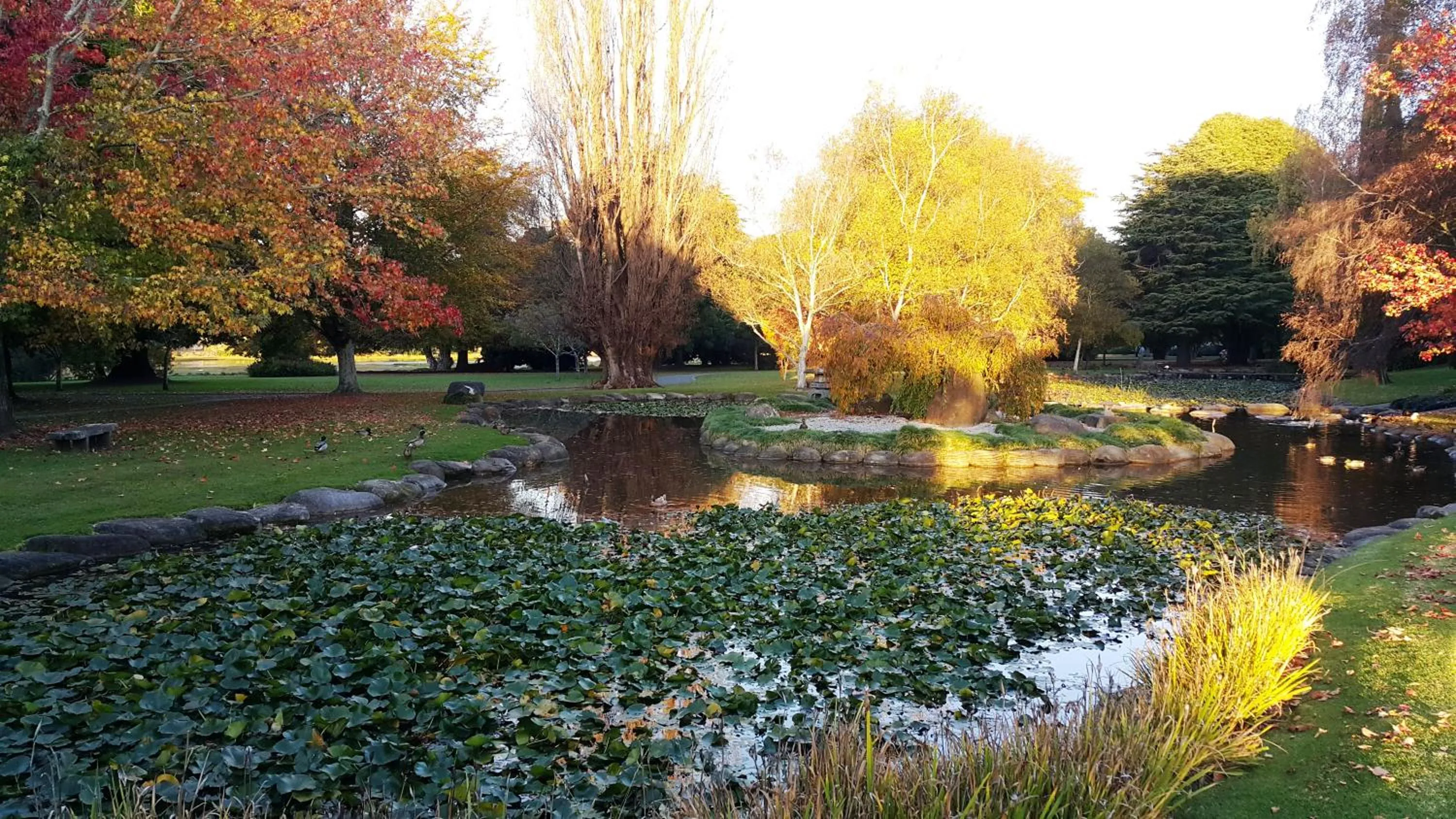 Nearby landmark in Bella Vista Gisborne
