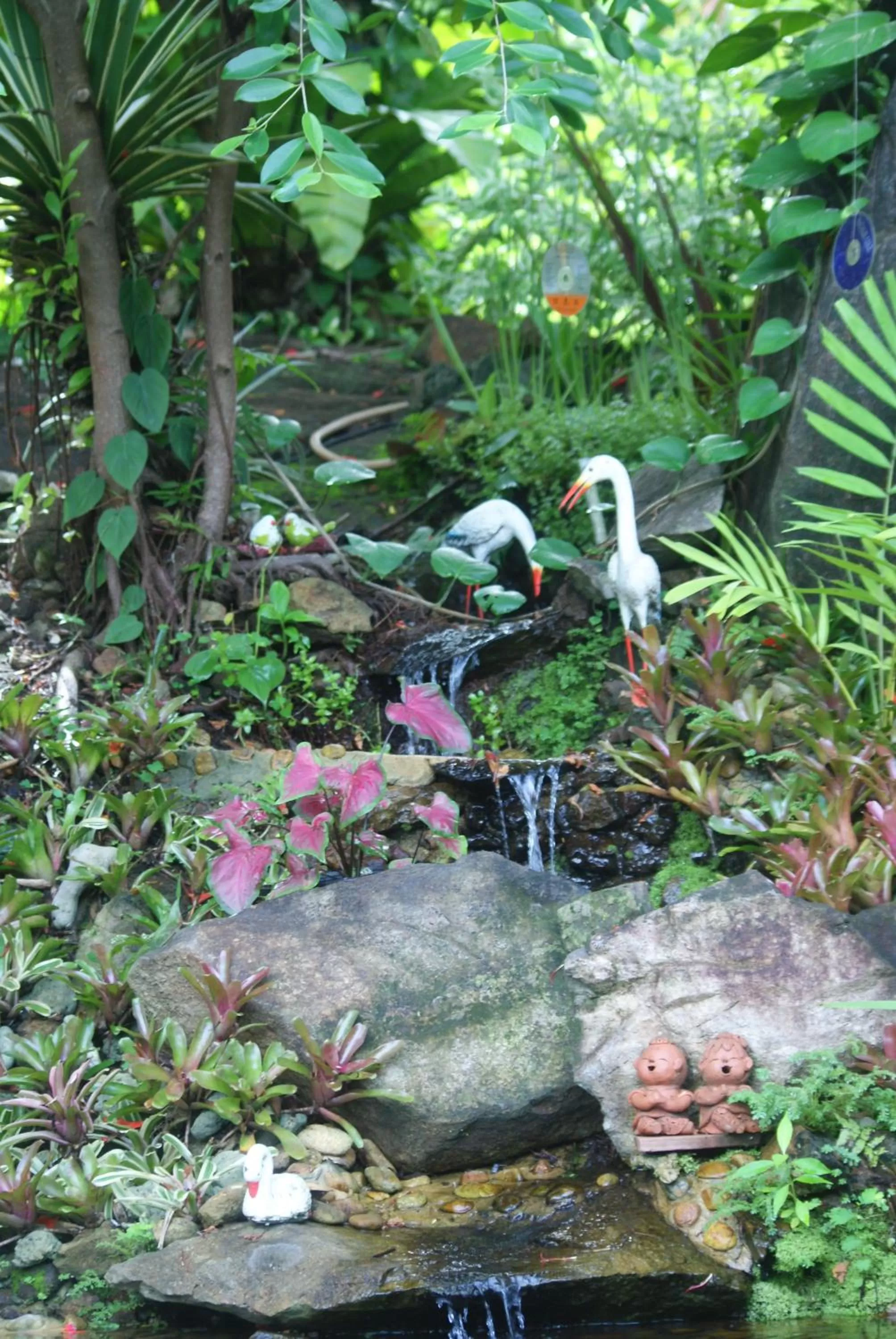 Garden in Rock Inn Bailan