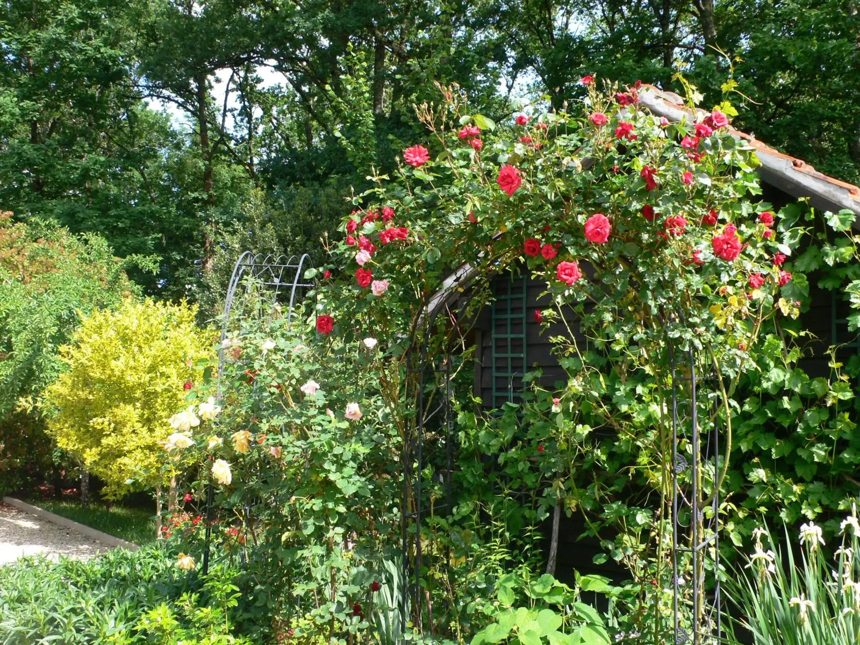 Garden in Chambres d'hôtes La Brillève