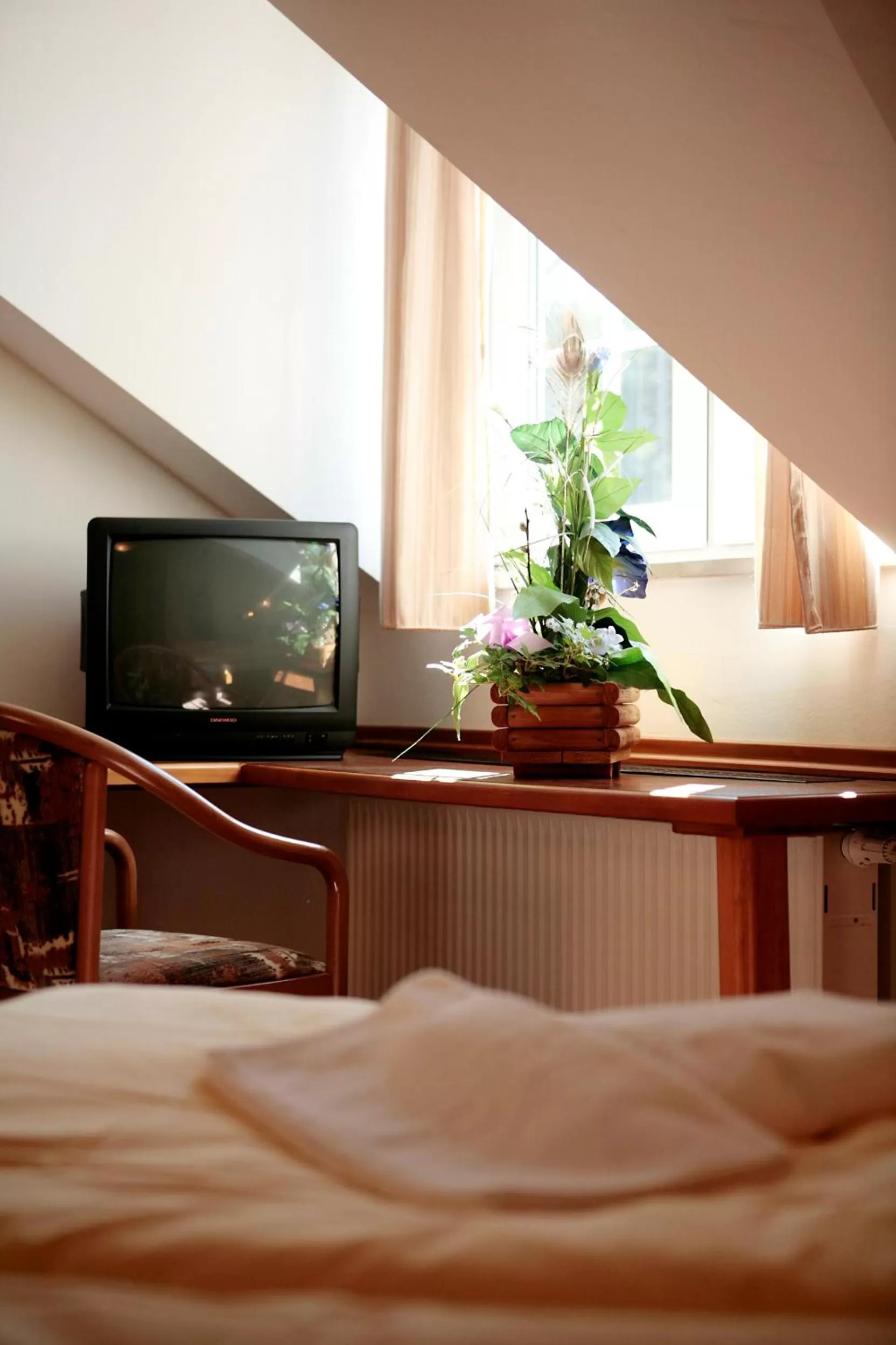 Single Room in Rennsteighotel Herrnberger Hof