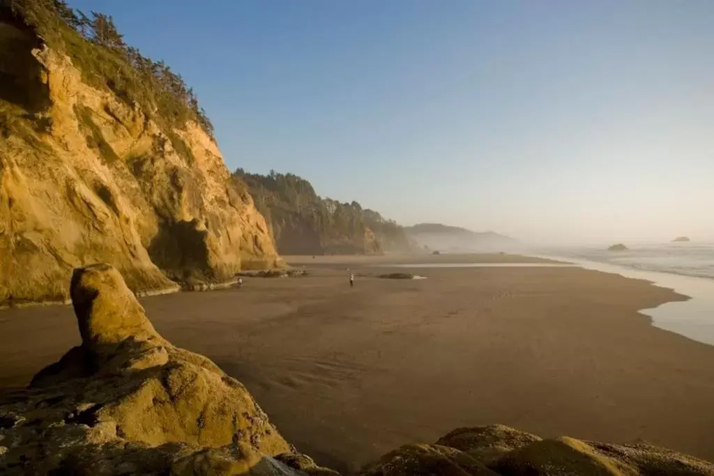 Beach, Natural Landscape in Arch Cape Inn and Retreat