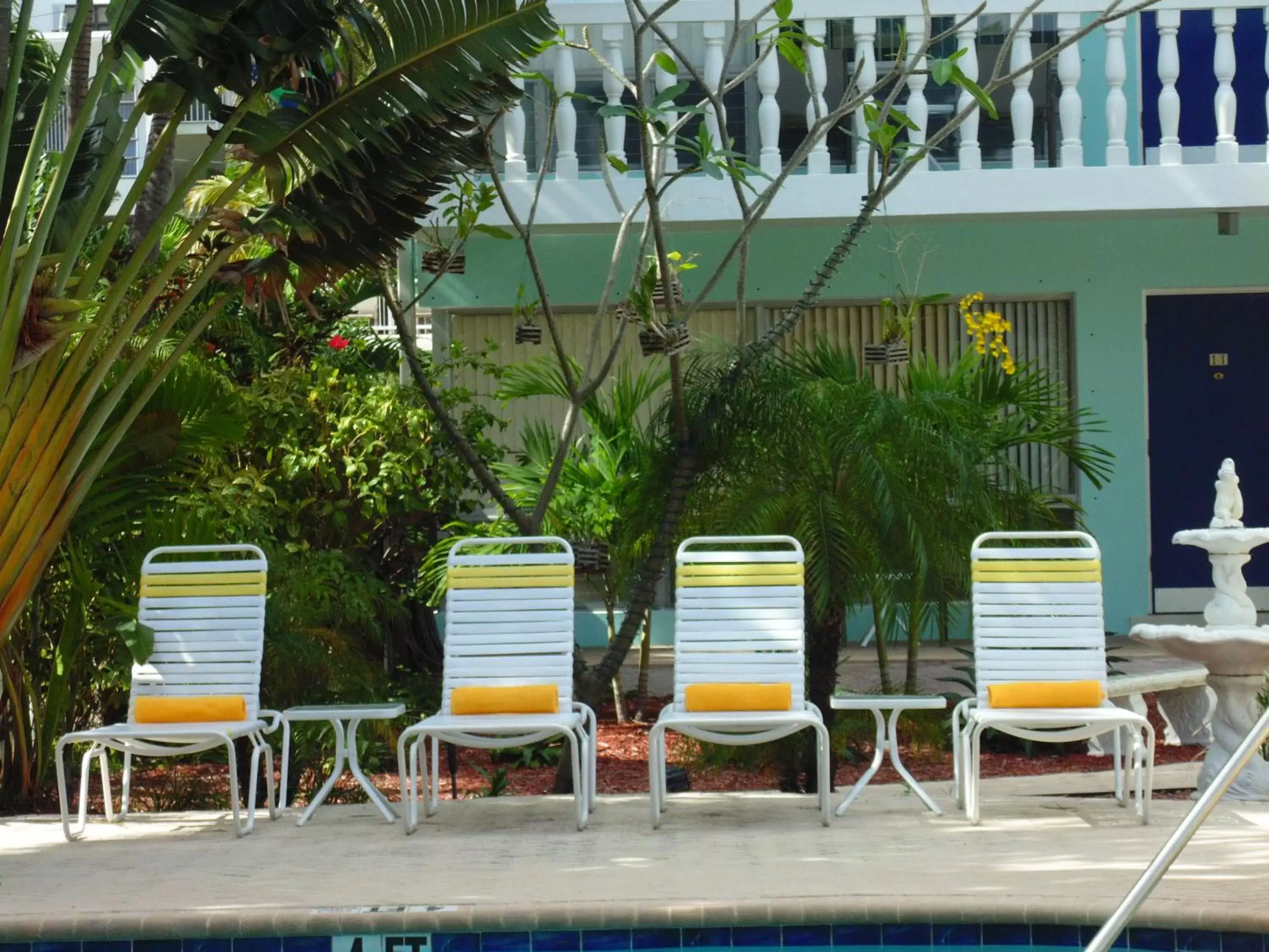 Swimming pool, Patio/Outdoor Area in Cheston House - Clothing Optional All Male Guesthouse