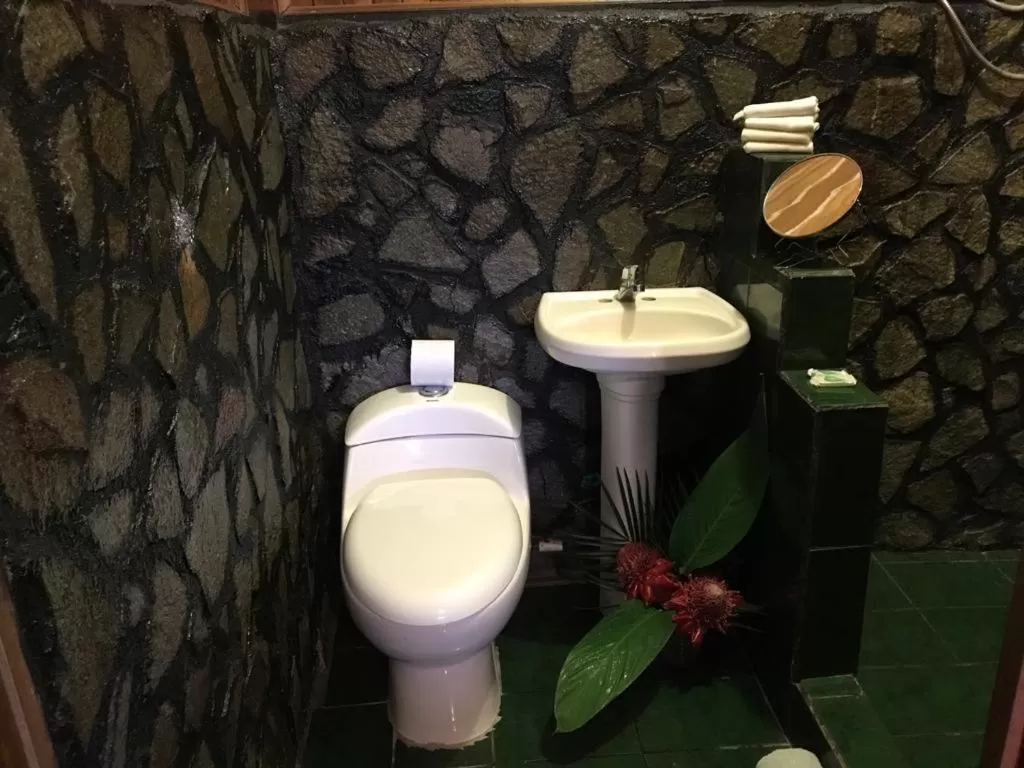 Bathroom in Hotel Green Mountain turrialba