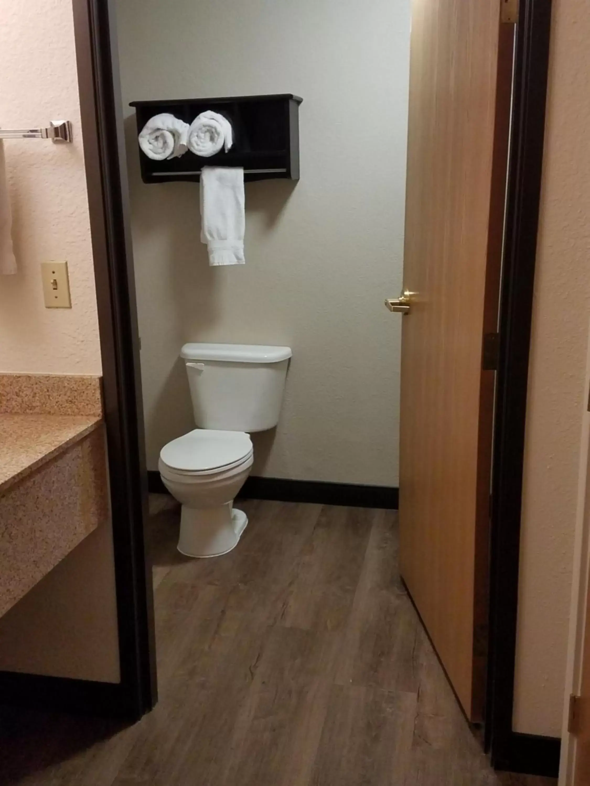 Bathroom in Best Western Plus Newark/Christiana Inn