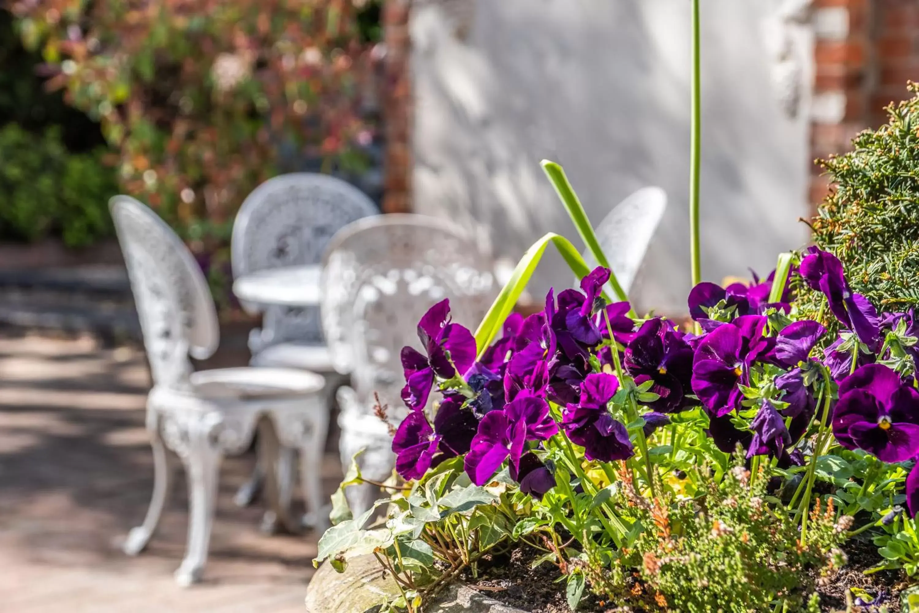 Garden in The Black Lion, Long Melford