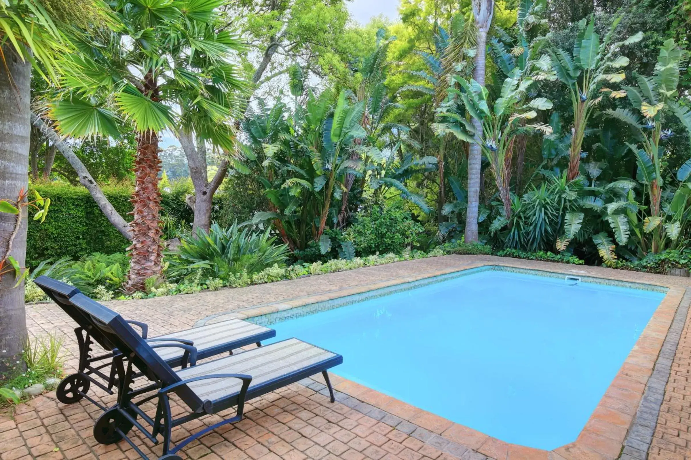 Swimming Pool in Aziza Guest House