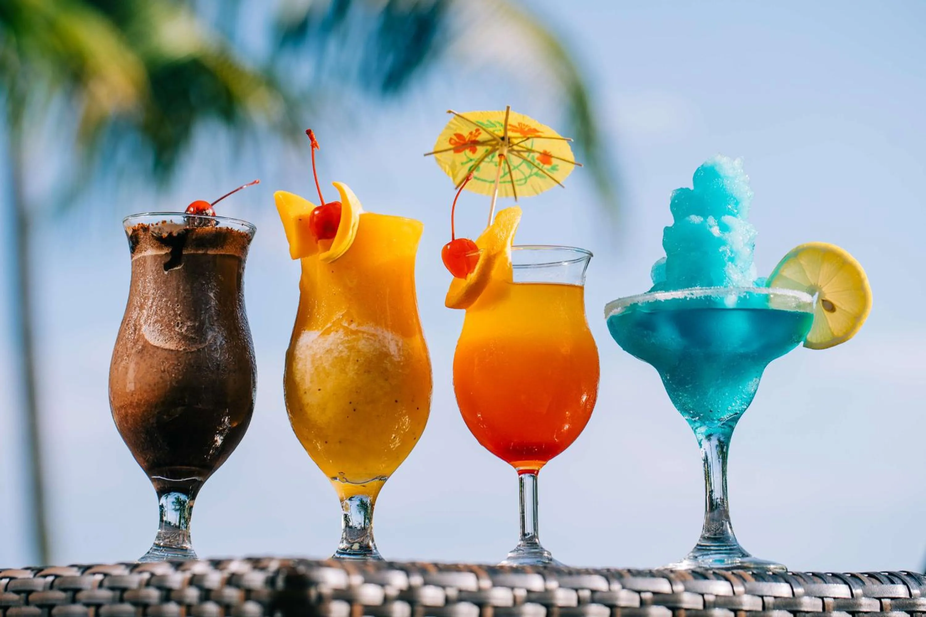 Other in Best Western Plus The Ivywall Resort-Panglao