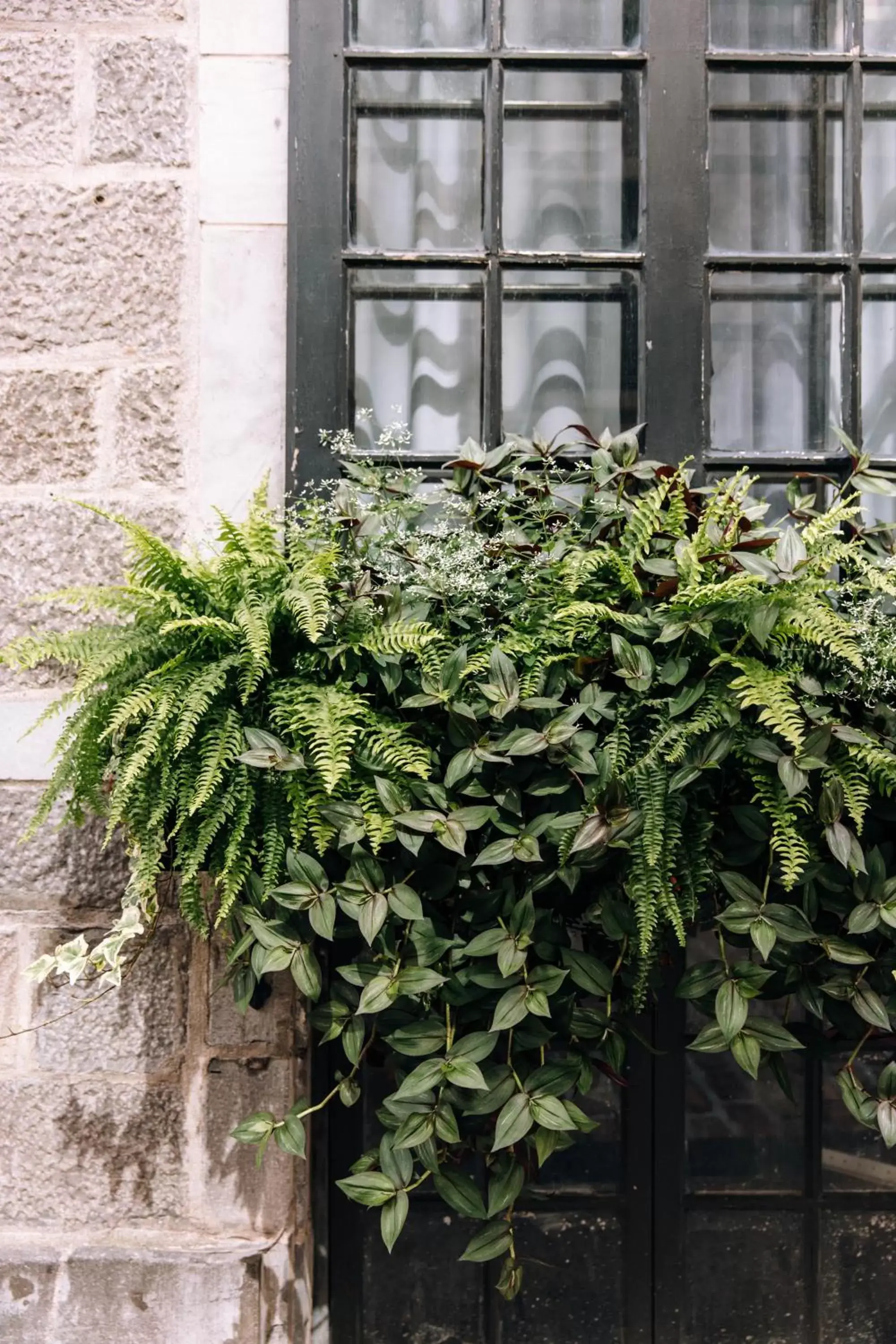 Property building in Maison Sainte-Thérèse By Maisons & co