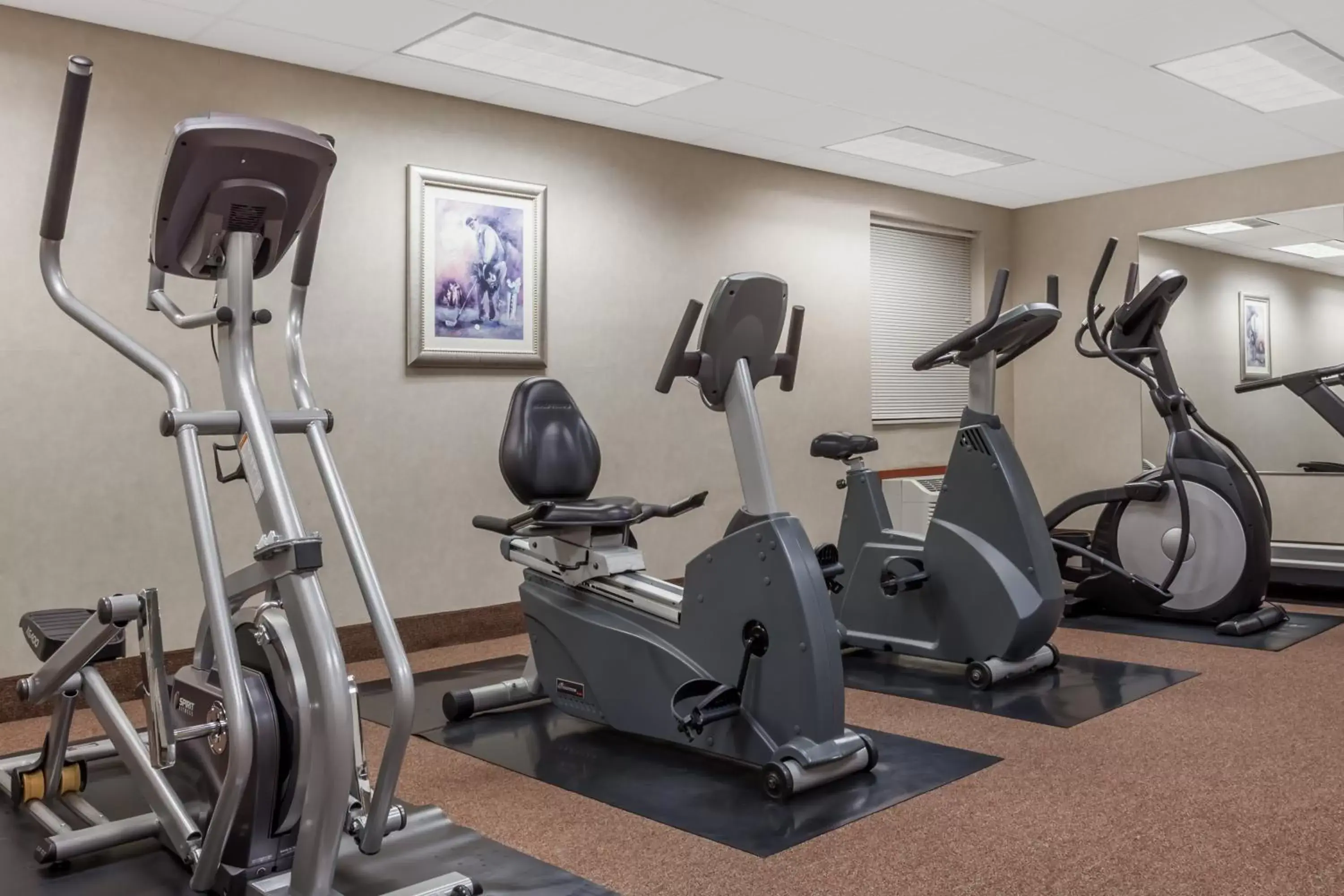 Fitness Center/Facilities in Howard Johnson by Wyndham Evansville East