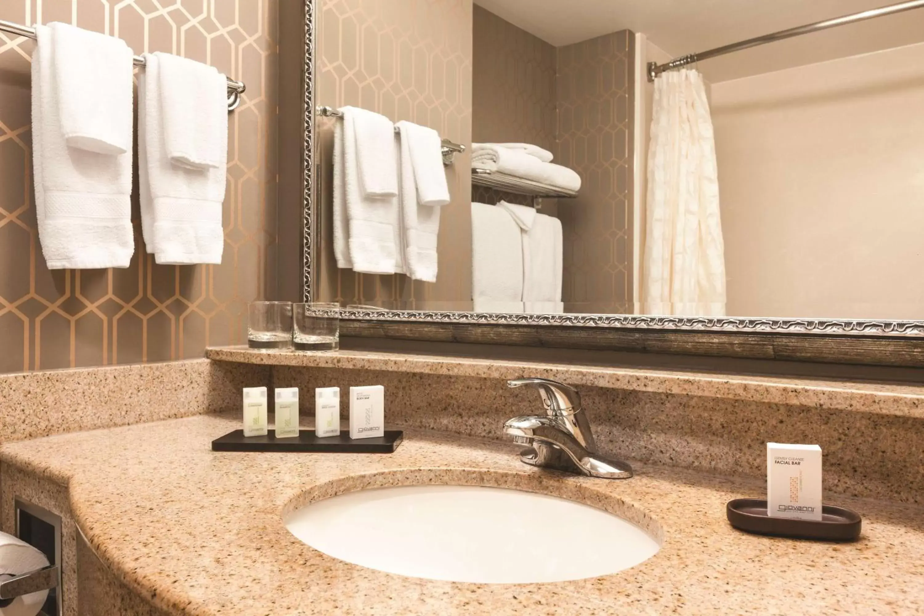 Bathroom in Embassy Suites by Hilton Louisville East