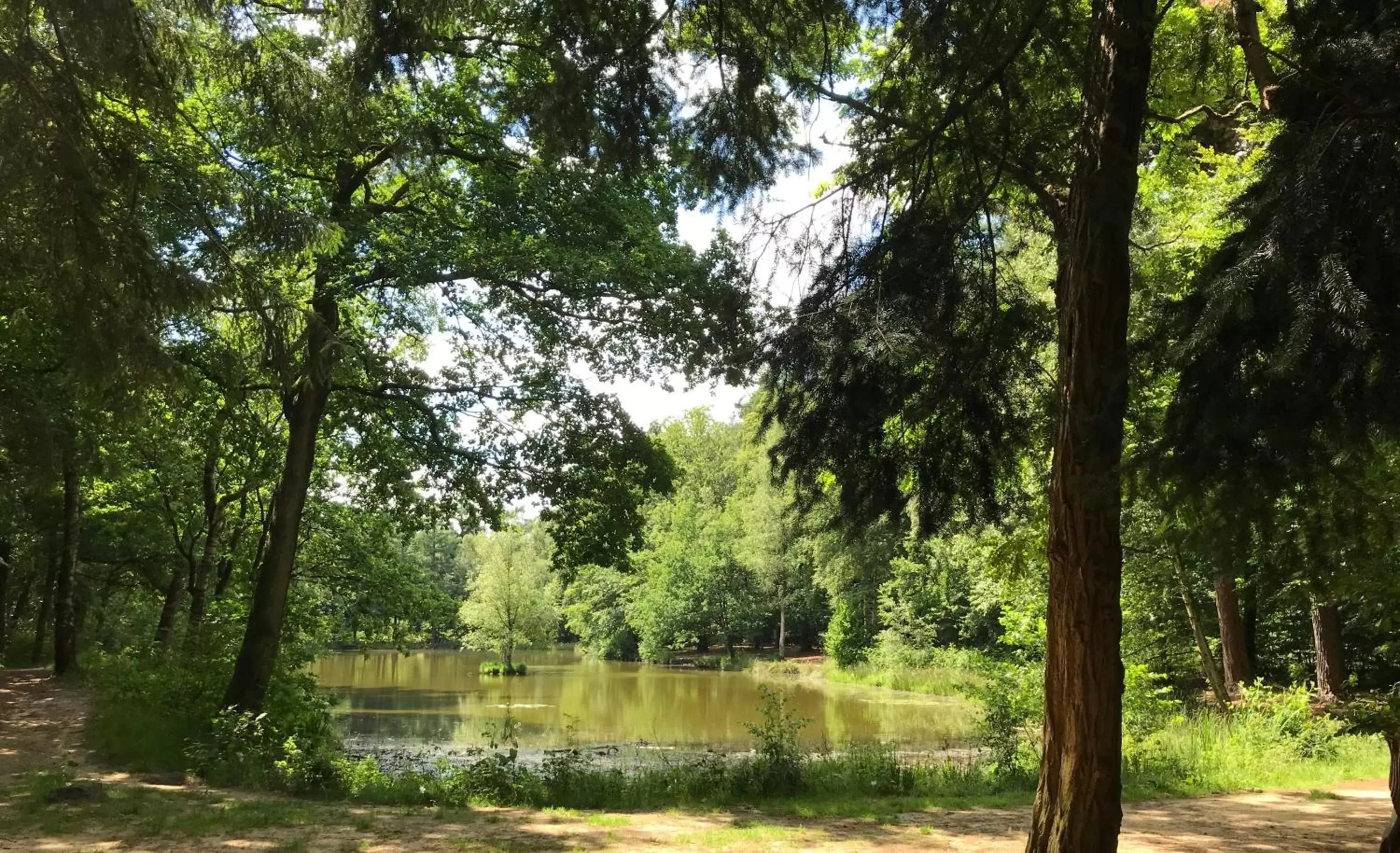 Natural landscape in Emmen bed and breakfast