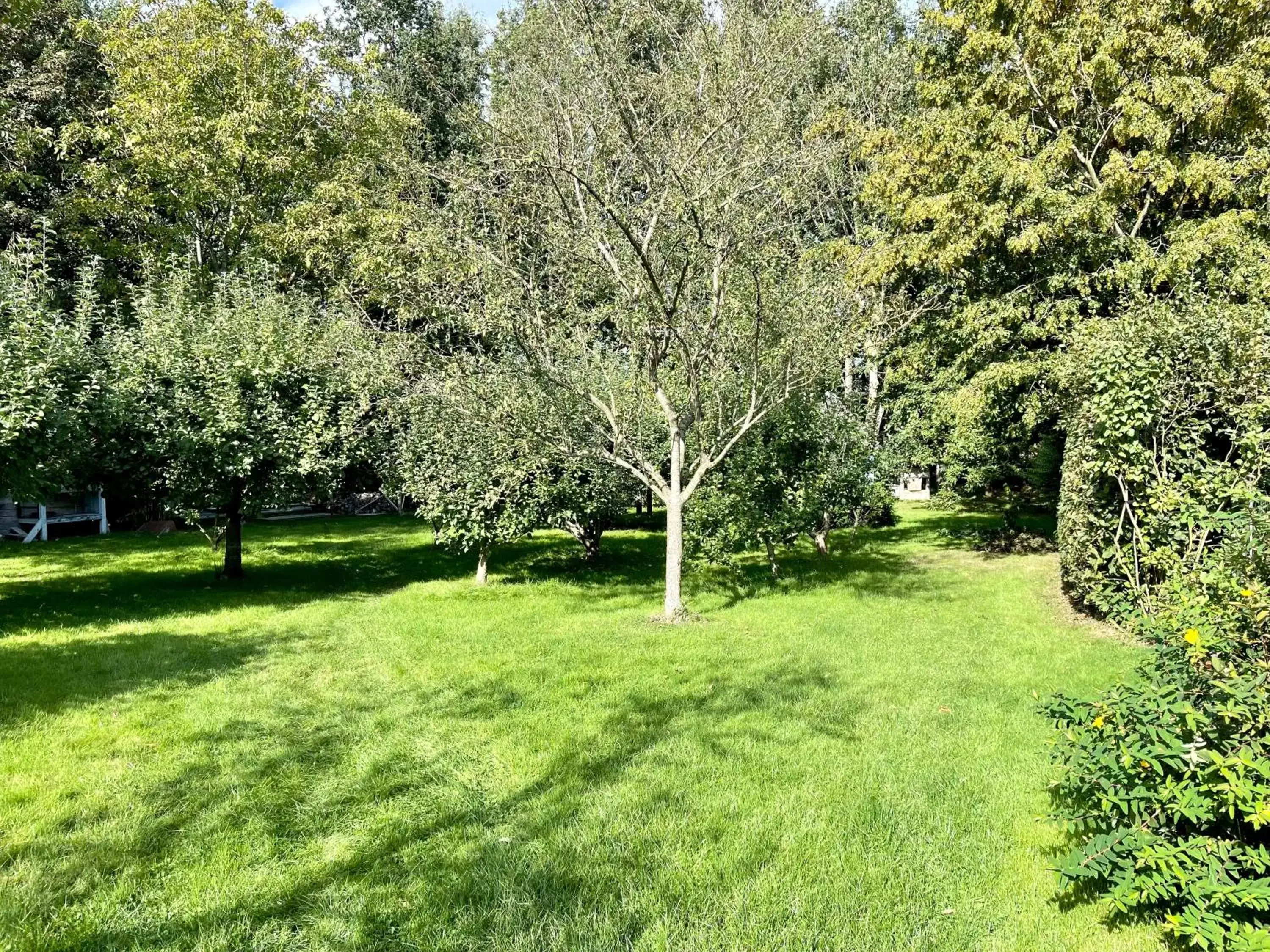 Garden in La Mésangeraie Gîte Chambres d'hôtes