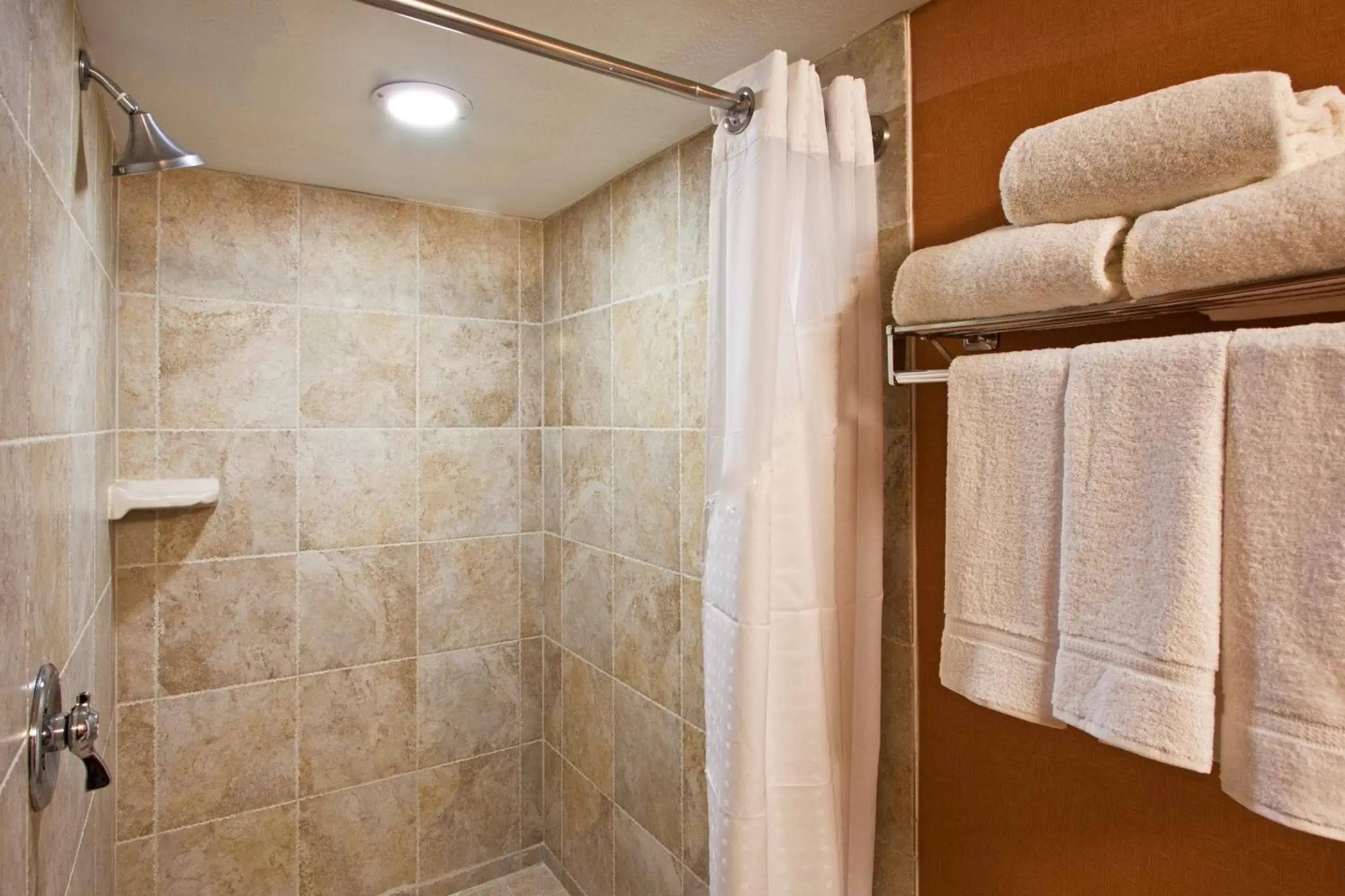 Bathroom in Holiday Inn Express Hotel Clearwater East - ICOT Center, an IHG Hotel