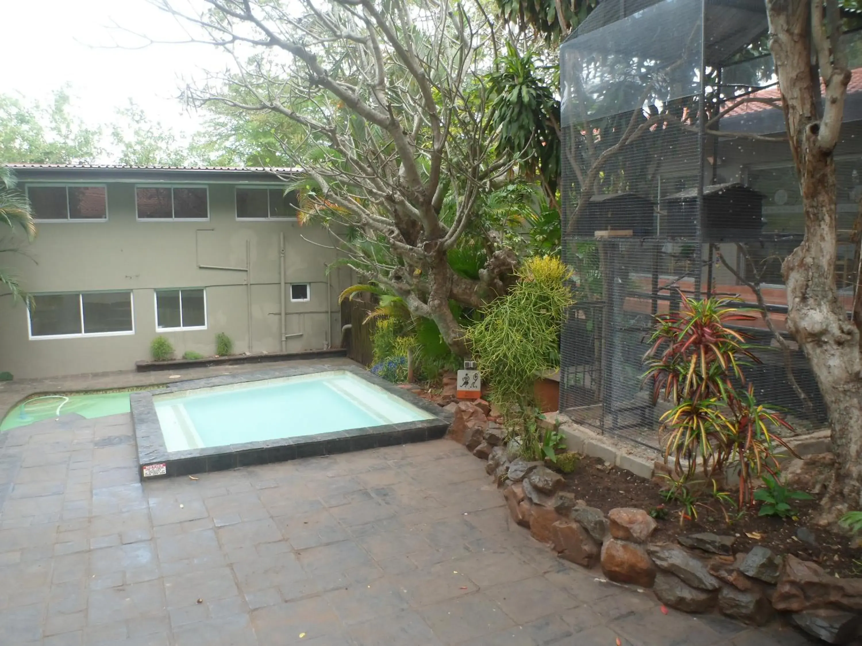 Swimming Pool in Laletsa Lodge