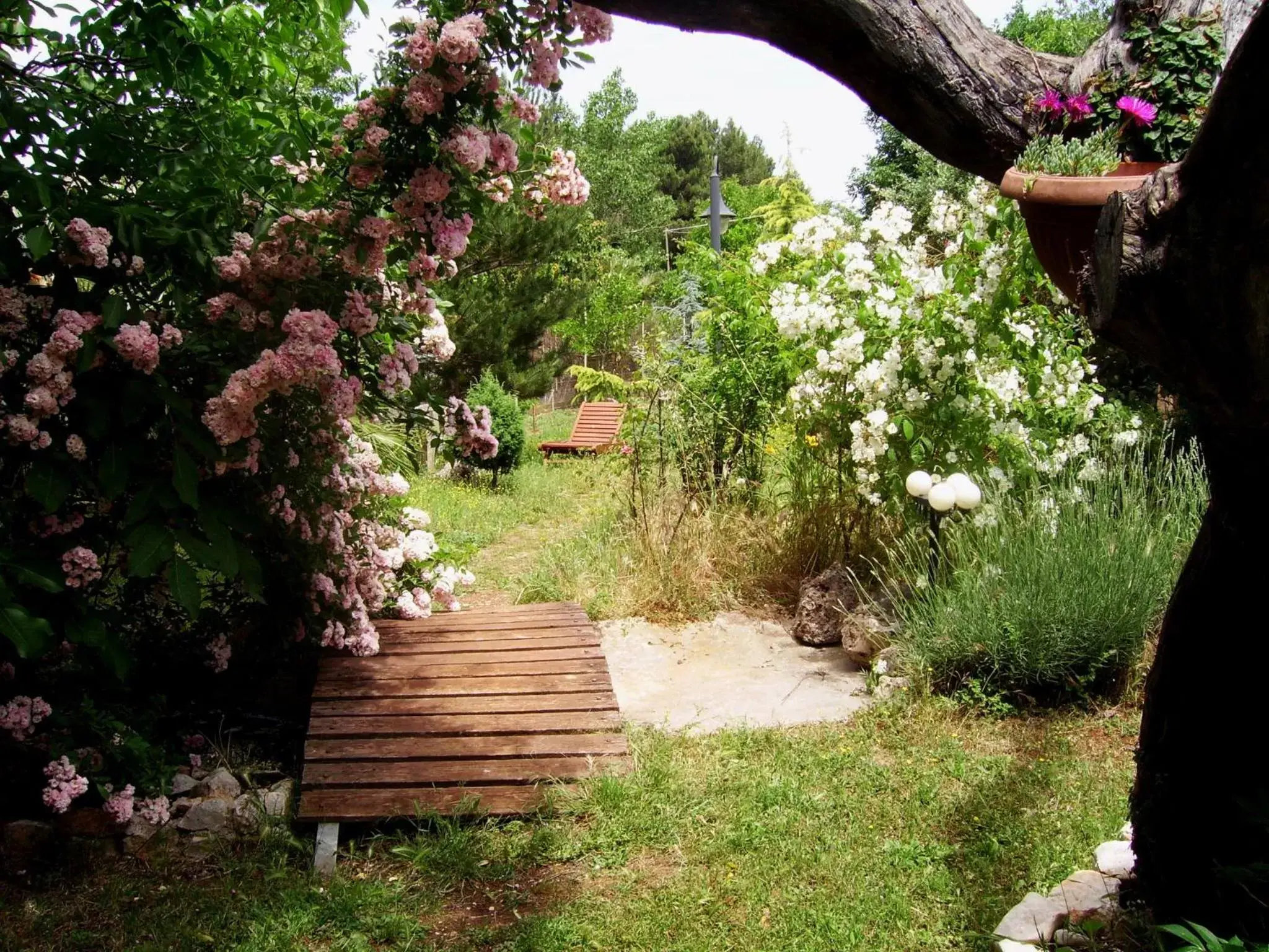 Garden in La Cascata