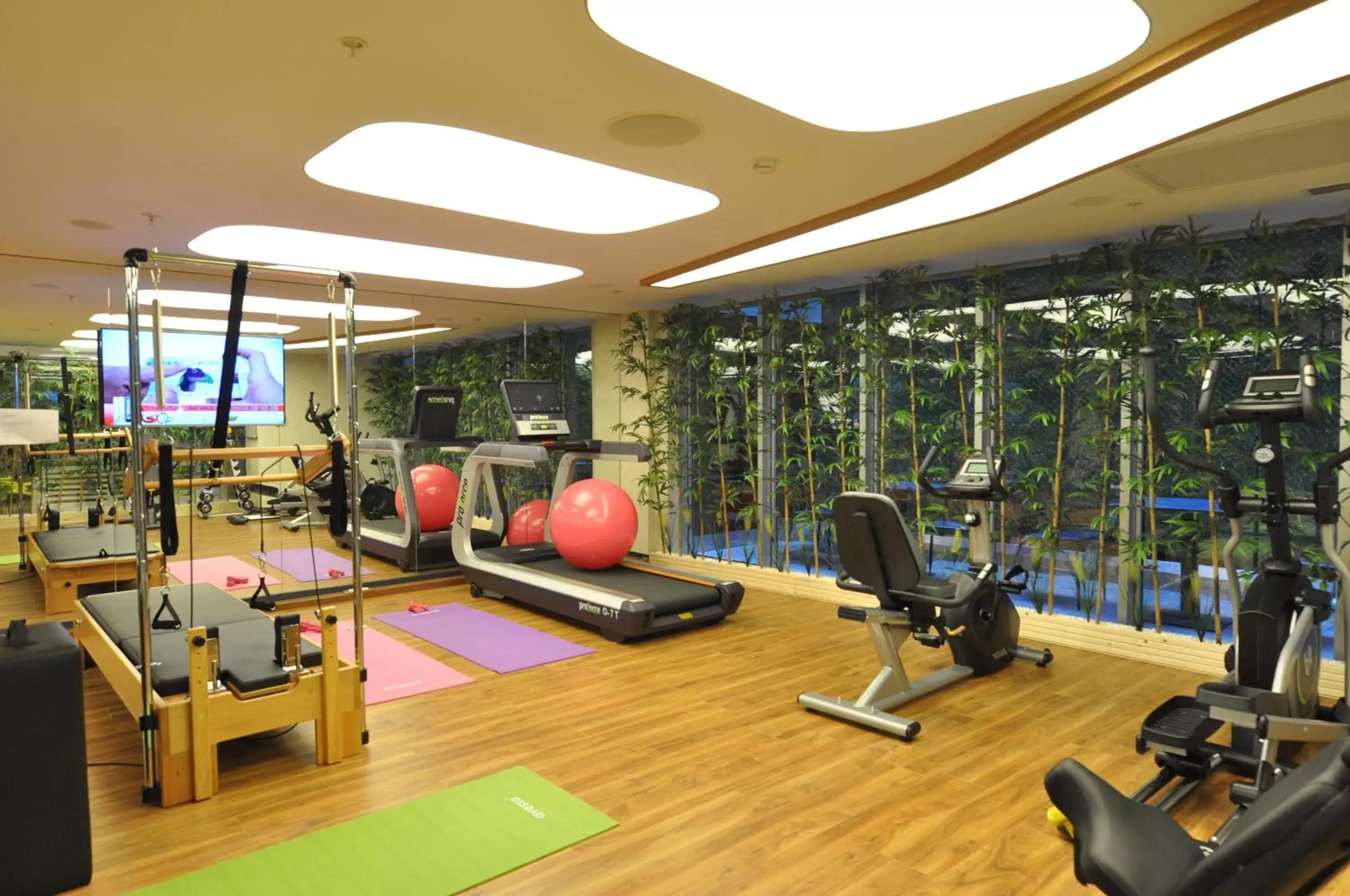 Fitness centre/facilities, Fitness Center/Facilities in Veyron Hotels & SPA