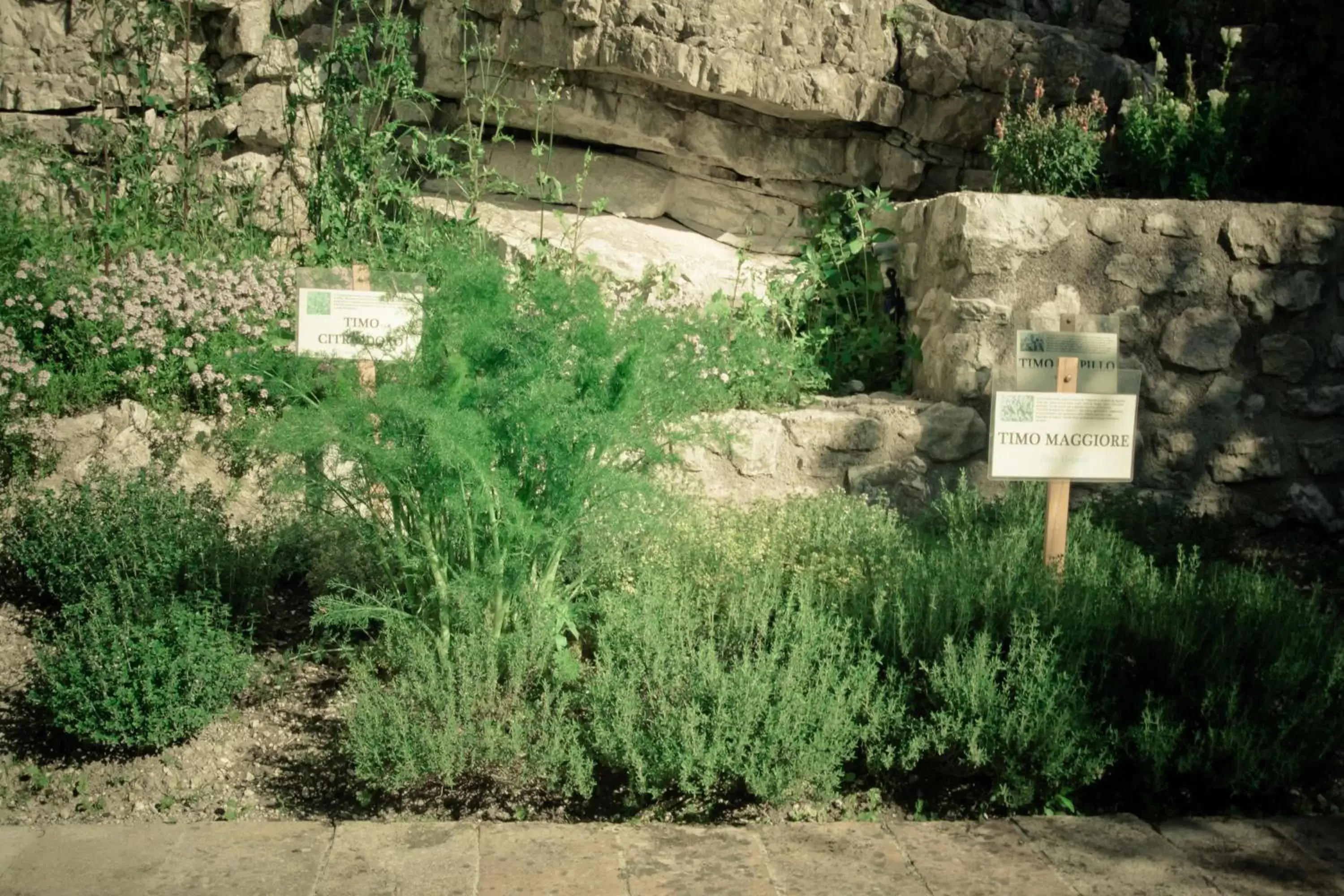 Garden in Borgo San Valentino