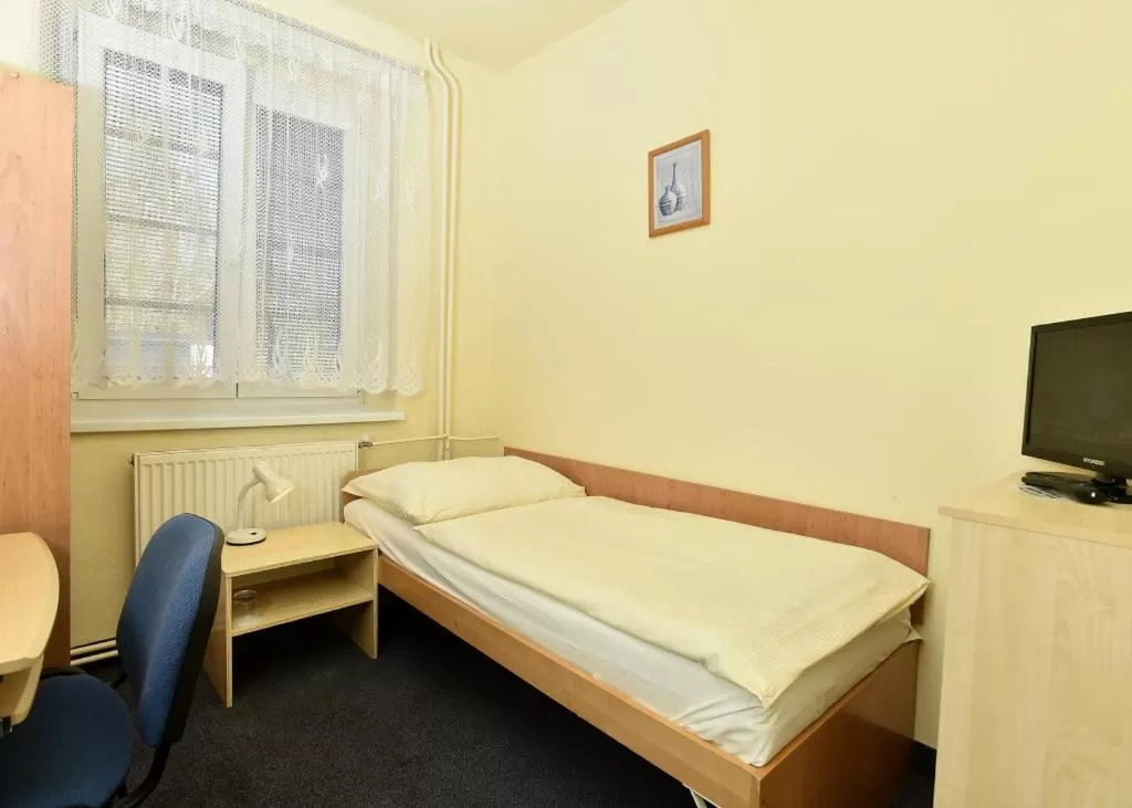 Single Room in Hotel U Jezírka