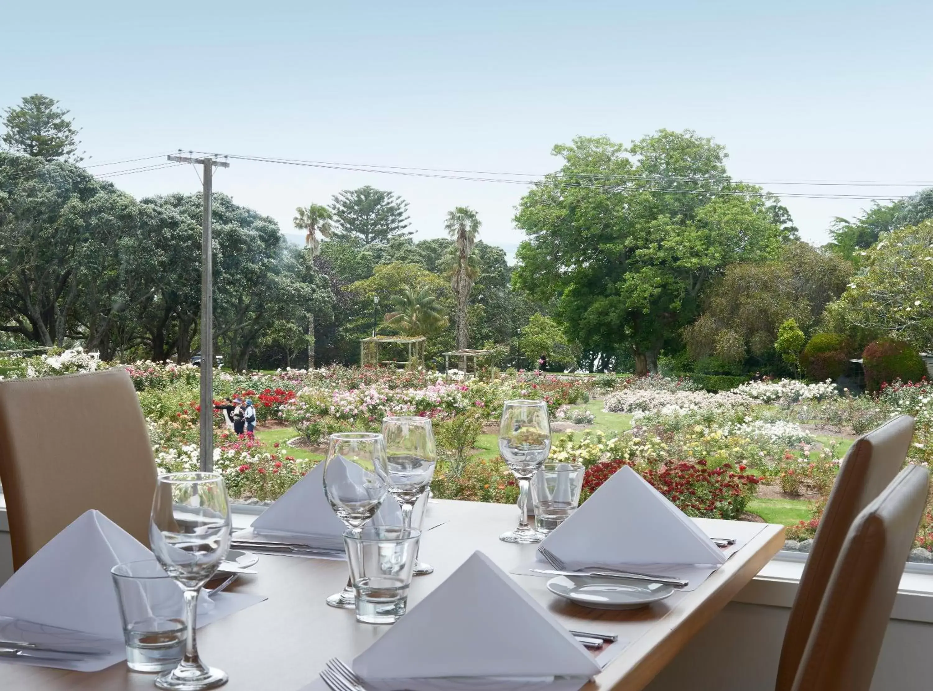 Restaurant/Places to Eat in Auckland Rose Park Hotel