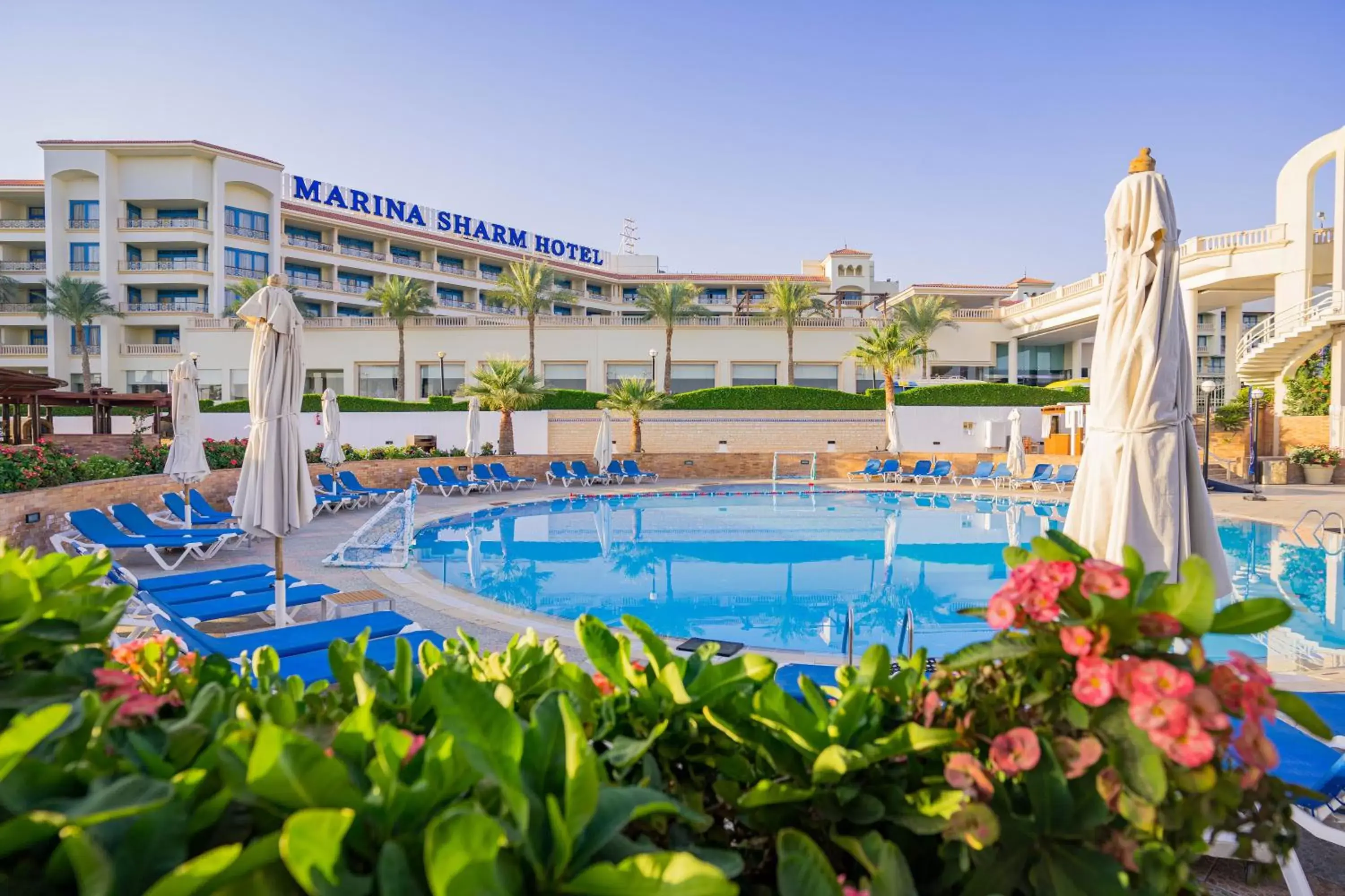 Pool view, Swimming Pool in Marina Sharm Hotel