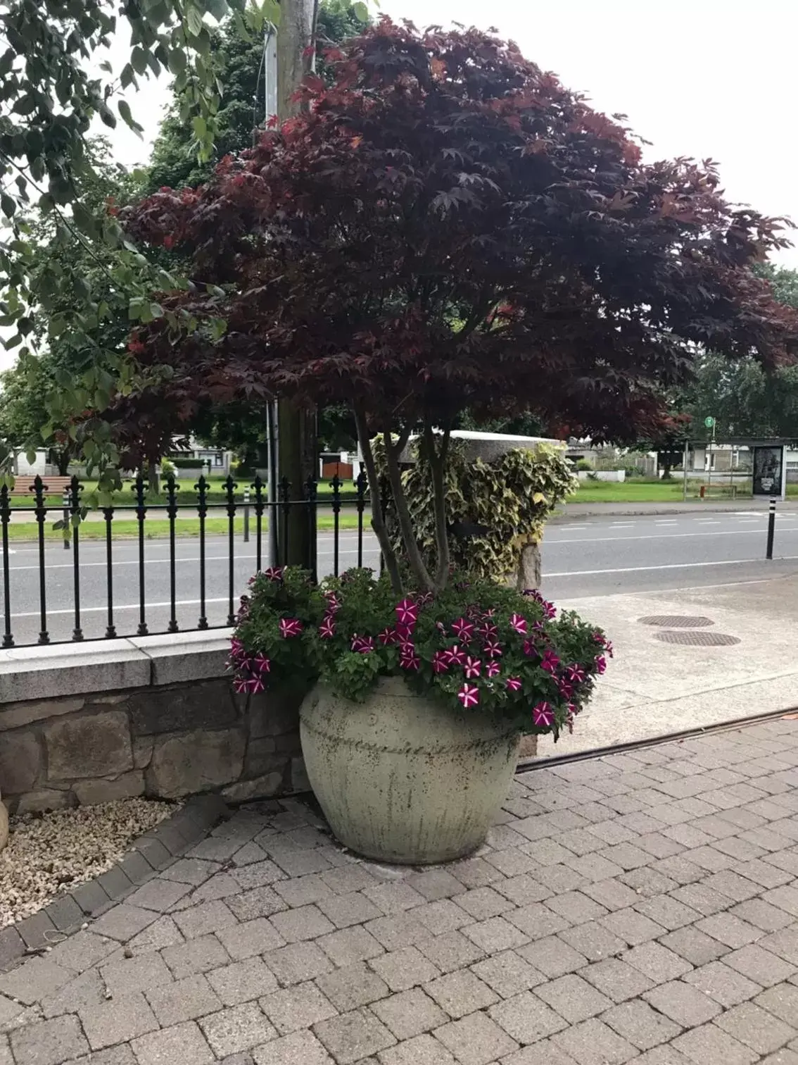 Property building in Avlon House Bed and Breakfast