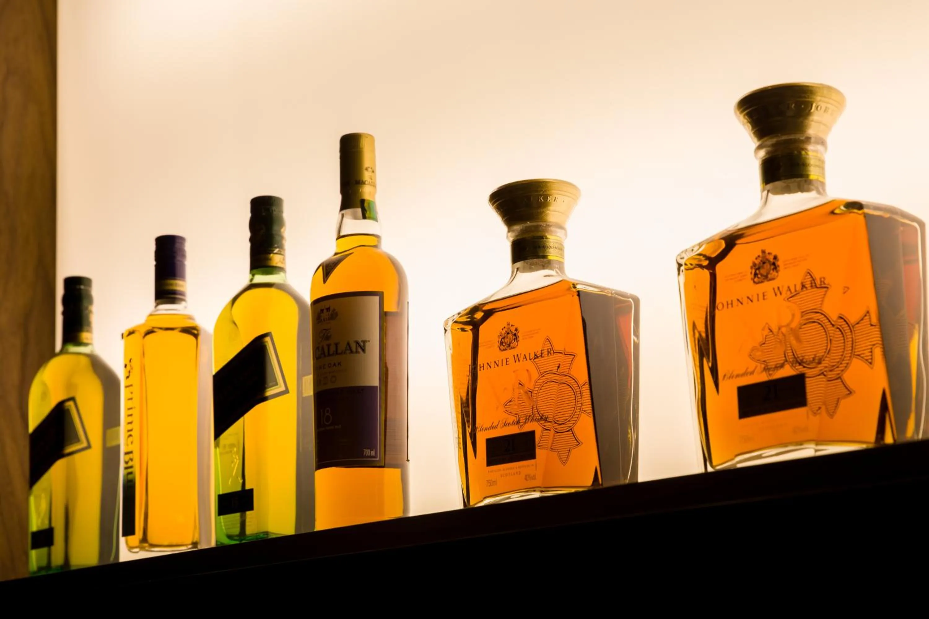 Lounge or bar in Hotel In