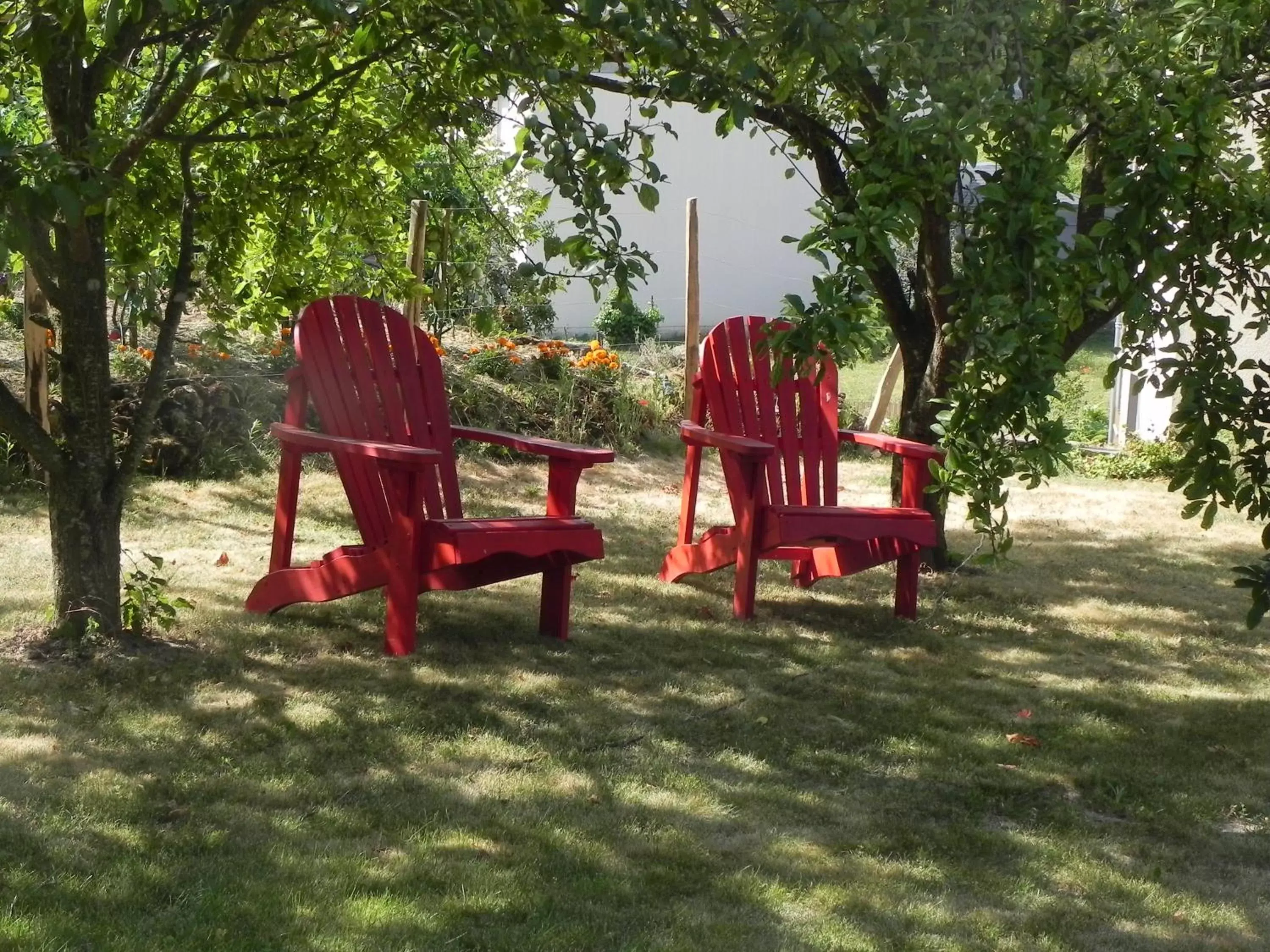 Garden in Les Patis