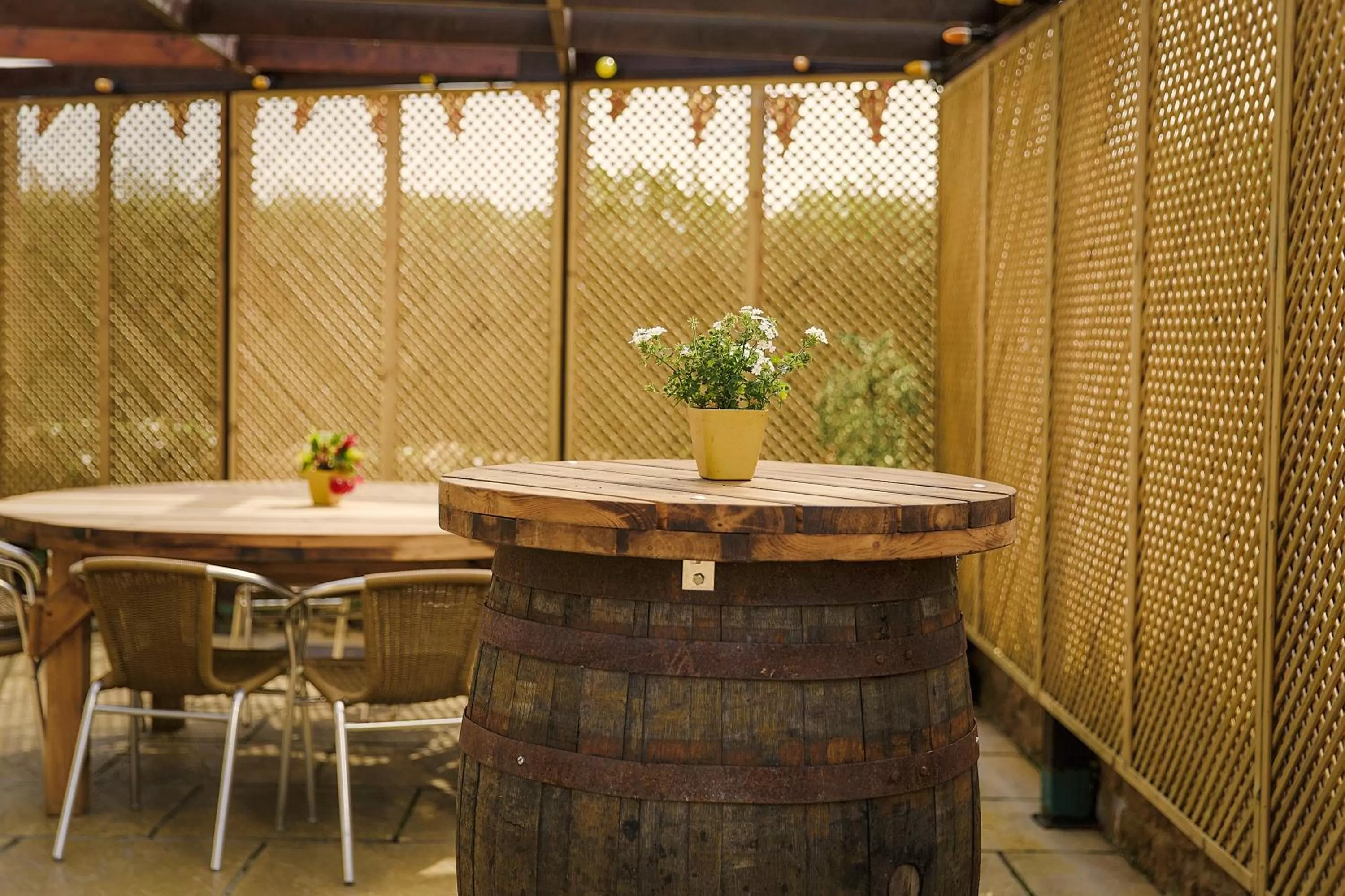 Patio, Lounge/Bar in White Horse Inn & Restaurant