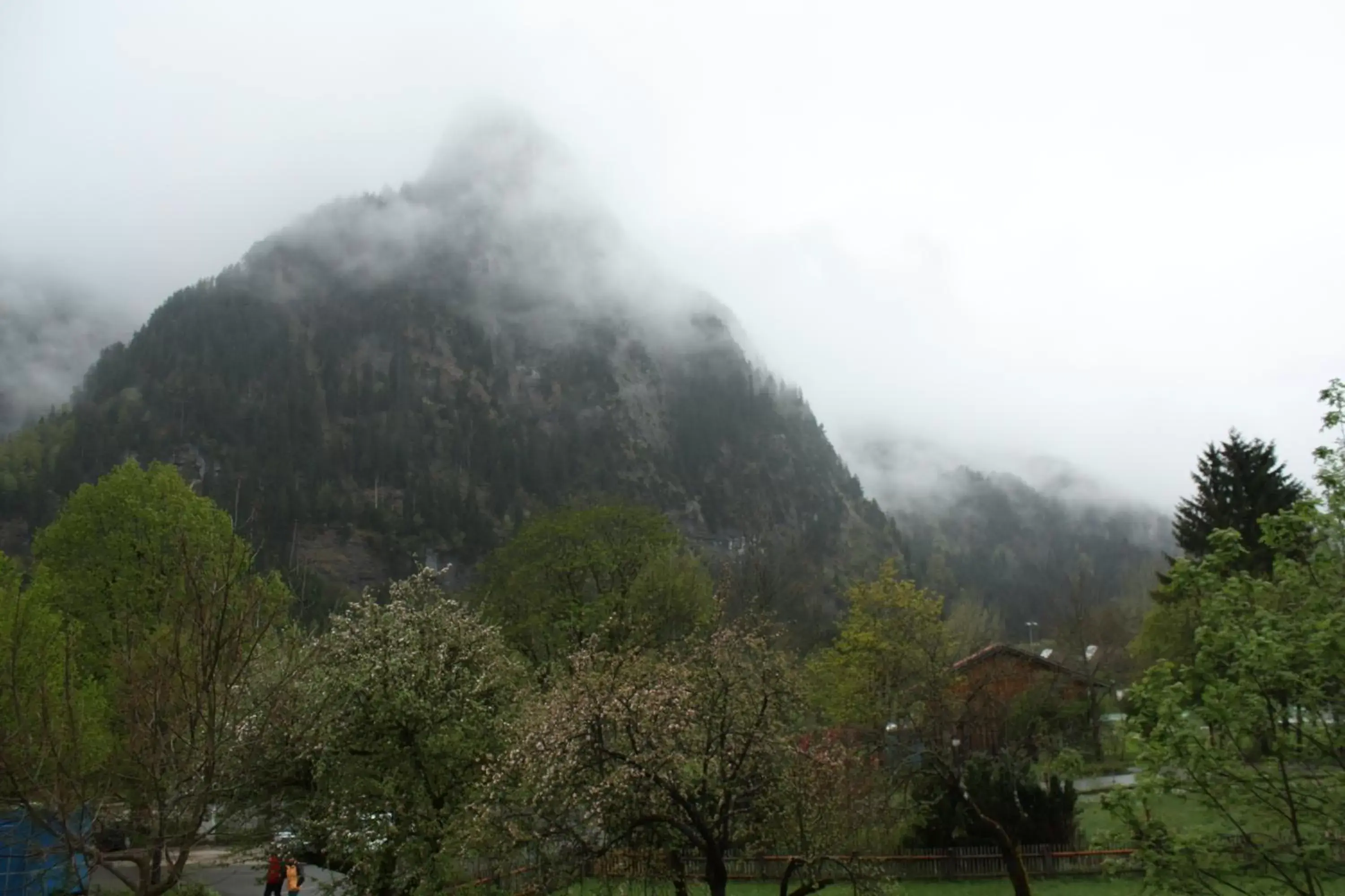 Area and facilities, Natural Landscape in Das Posch Hotel