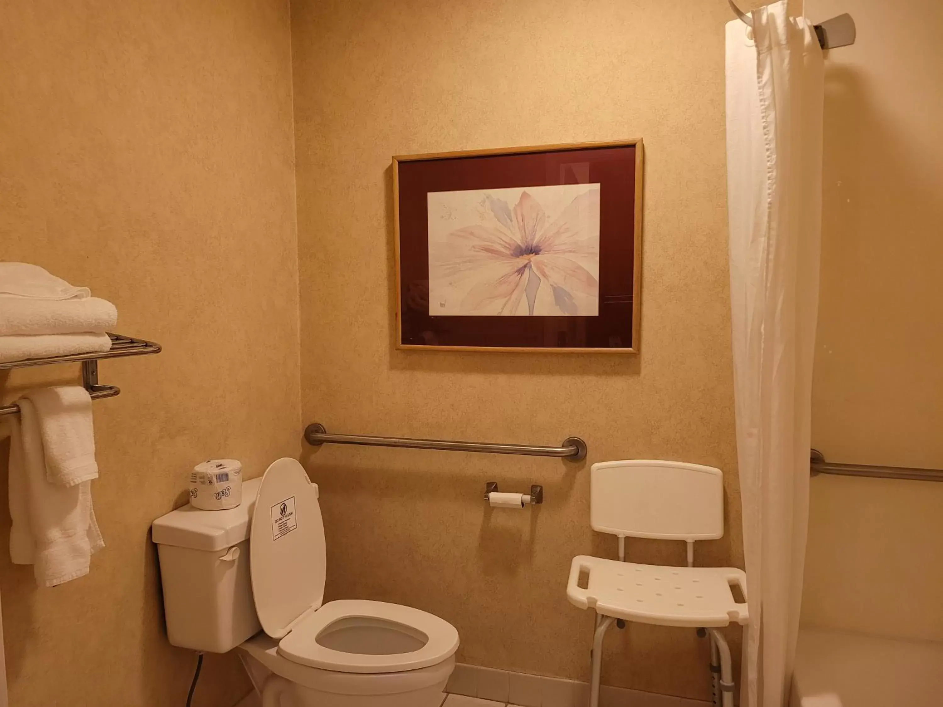 Bathroom in Super 8 by Wyndham Arkadelphia Caddo Valley Area