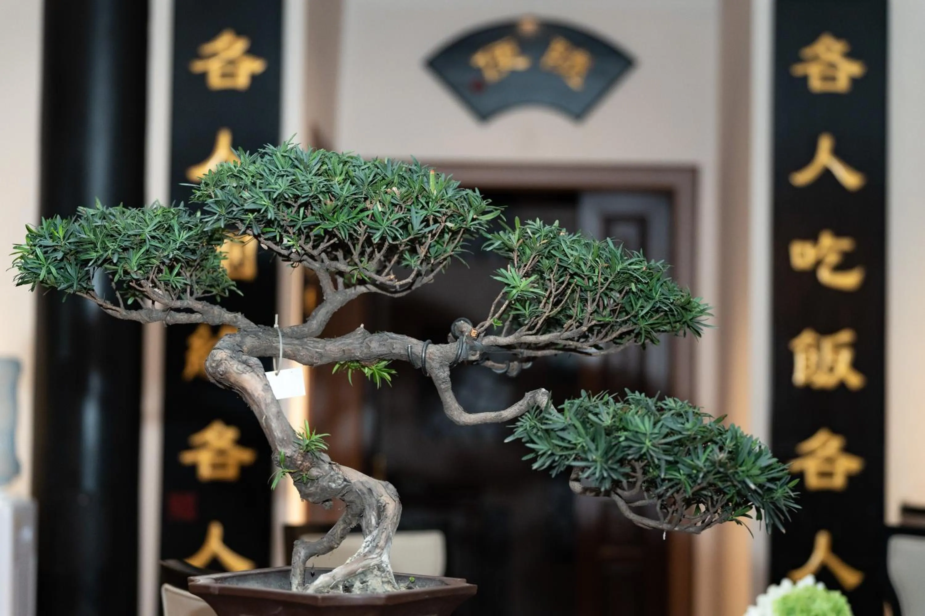 Decorative detail in Buddha Zen Hotel