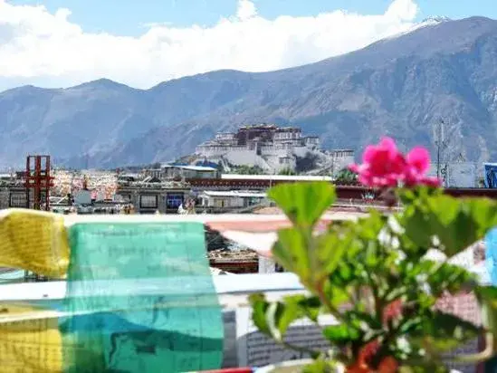 View (from property/room), Mountain View in Tashitakge Hotel