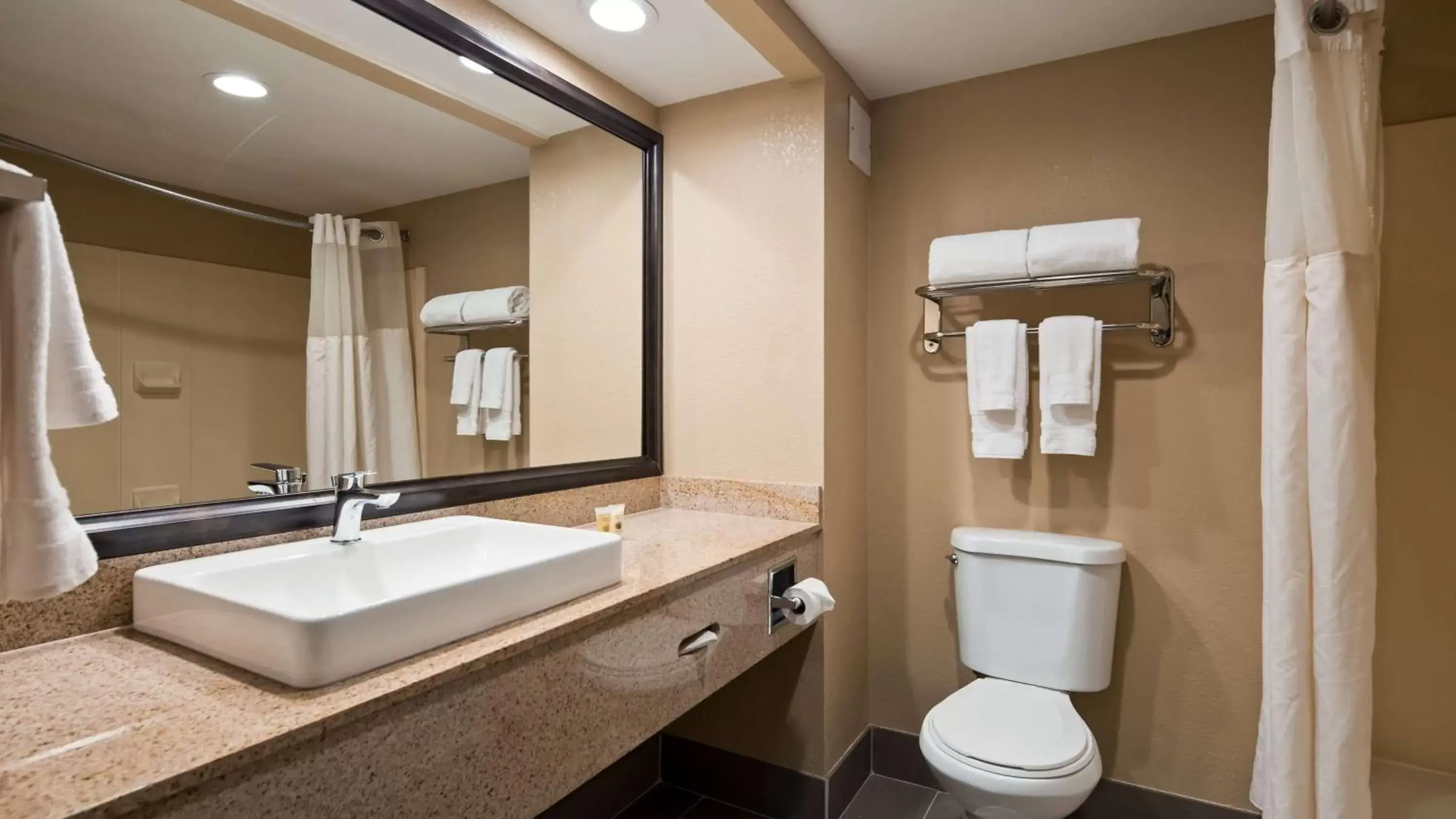 Bathroom in Best Western Airport Inn & Suites Oakland