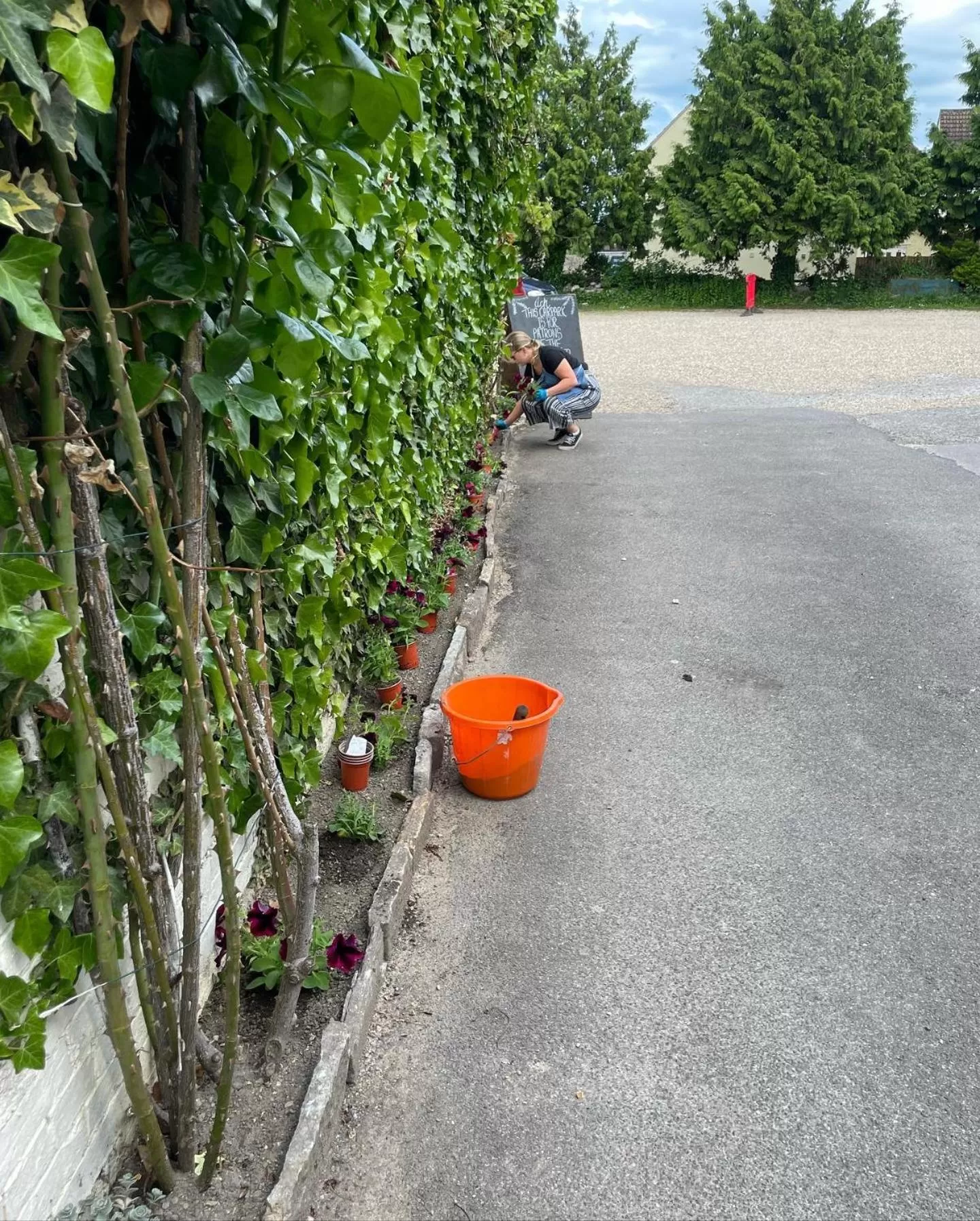 Garden in The Ilchester Arms Hotel, Ilchester Somerset