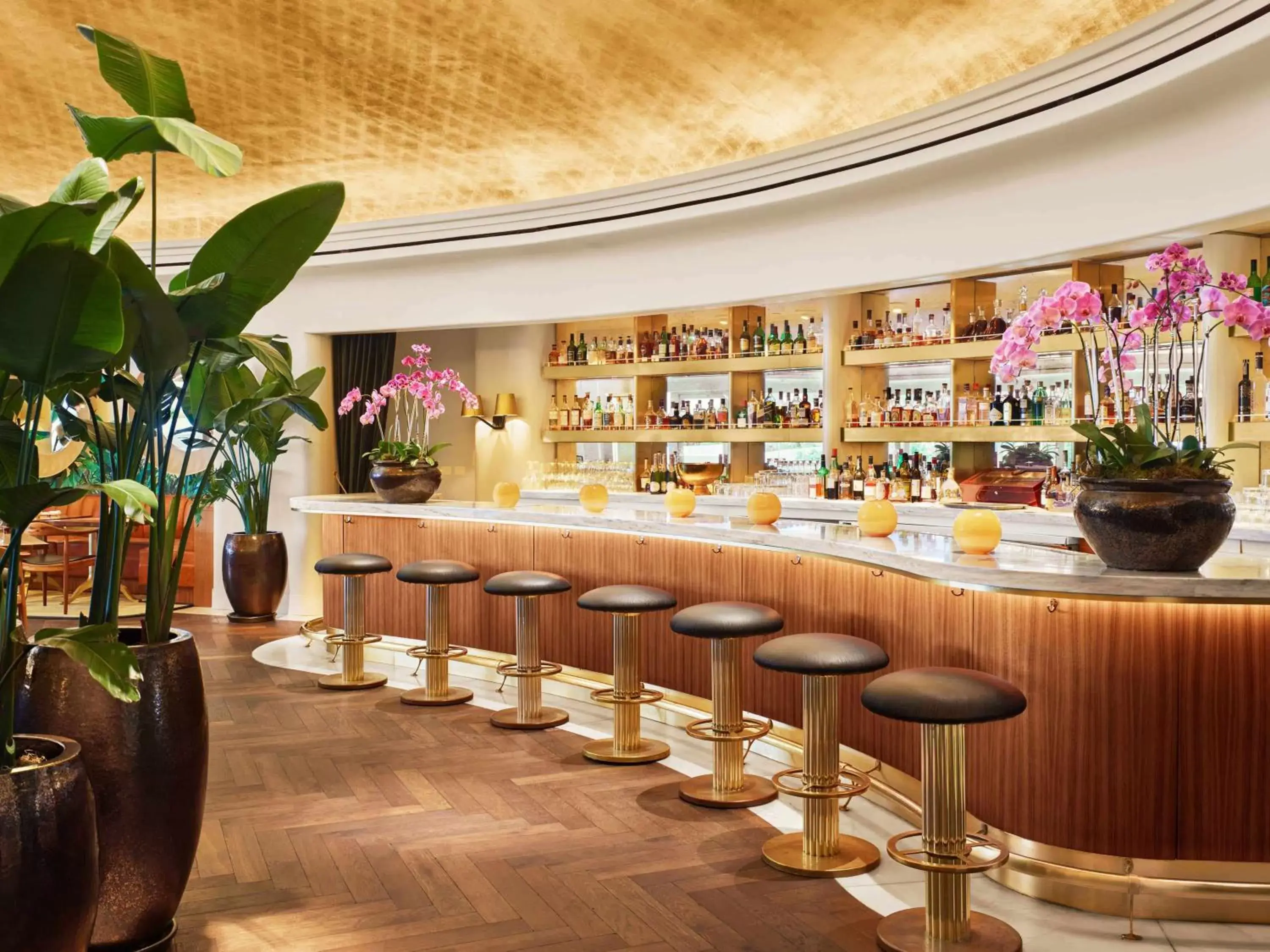 Restaurant/places to eat, Lounge/Bar in Faena Hotel Miami Beach