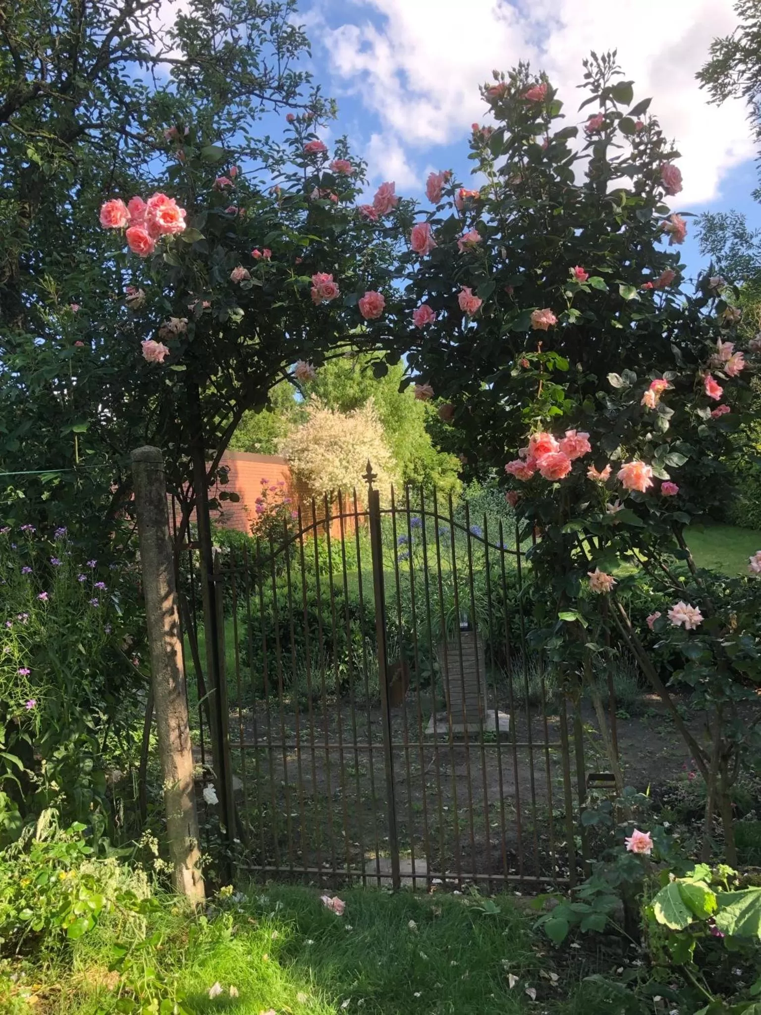 Garden view in Beaux Temps b&b