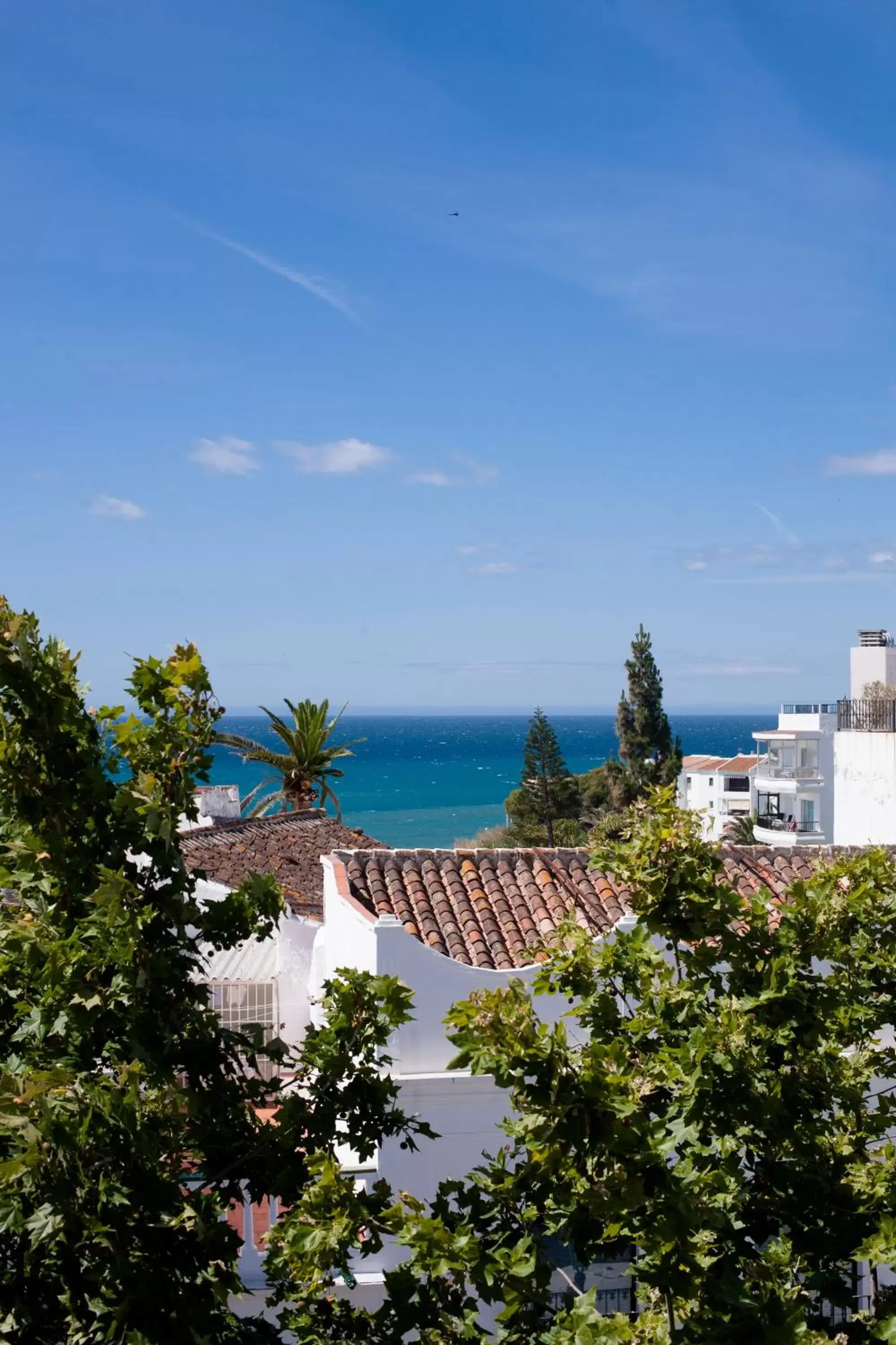 View (from property/room), Sea View in Hotel Plaza Cavana