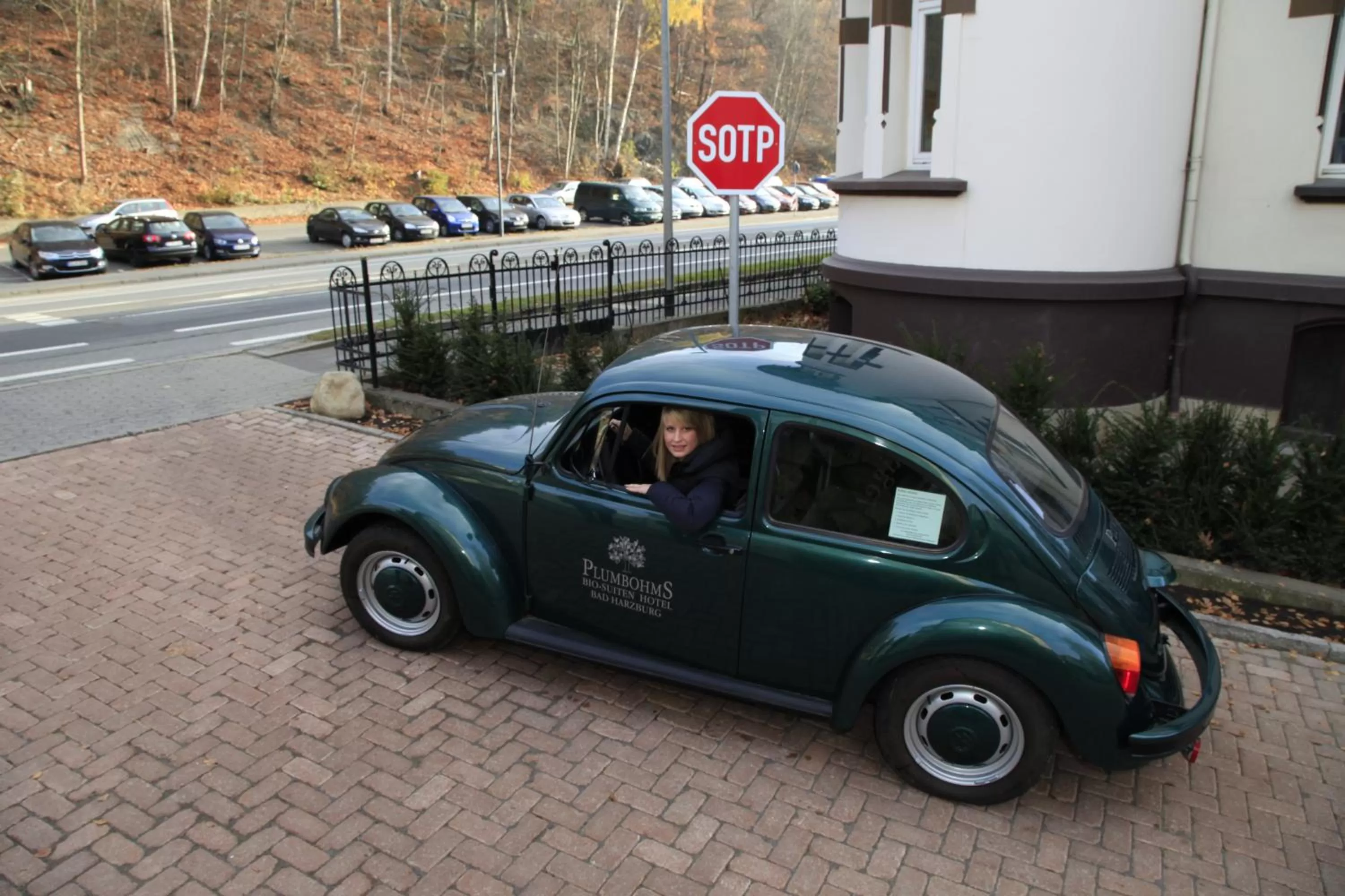 Decorative detail in Plumbohms ECHT-HARZ-HOTEL
