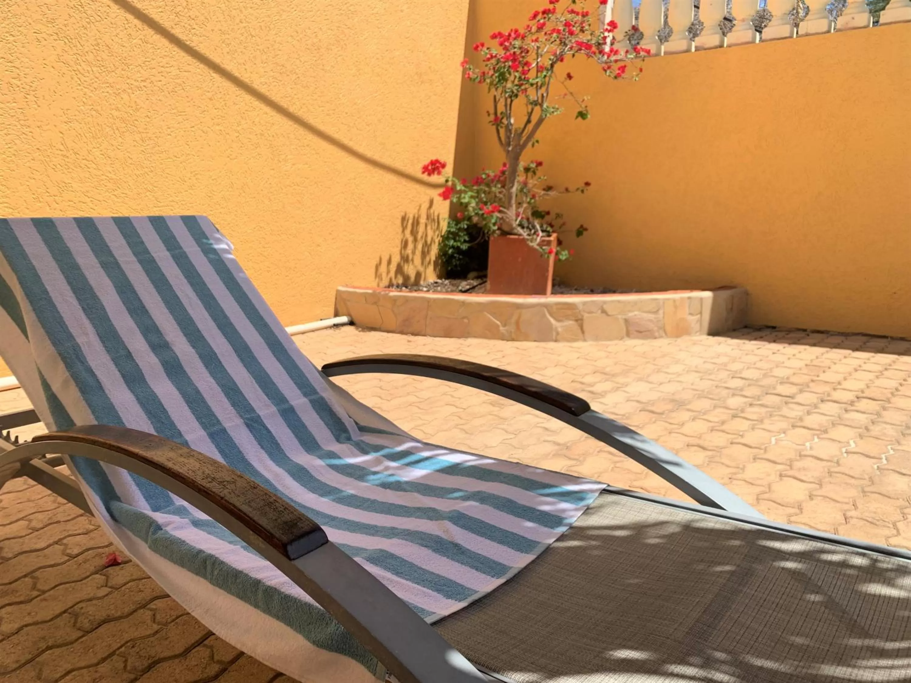 Swimming pool in Montana Eco Resort Aruba