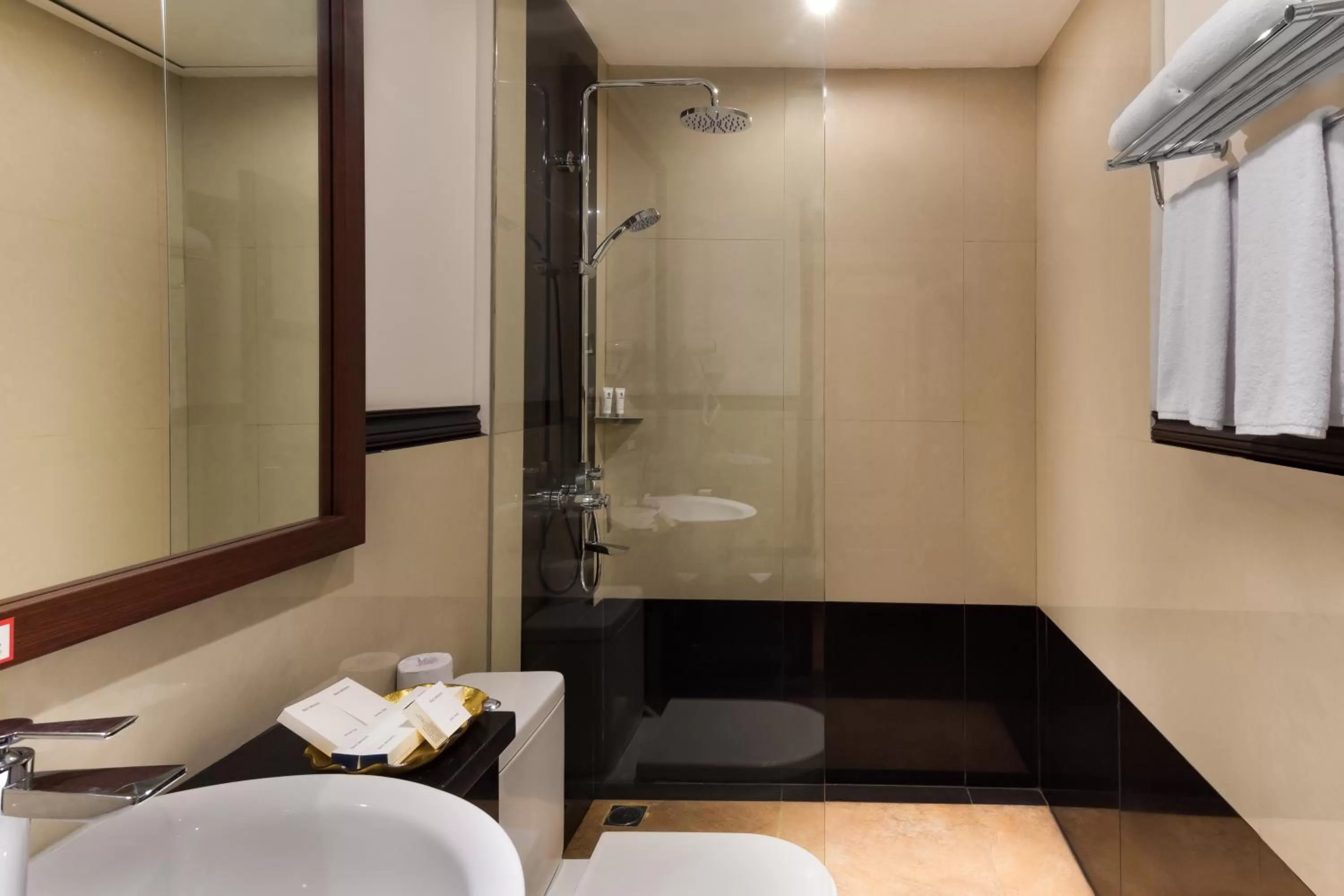 Shower in Best Western Senayan