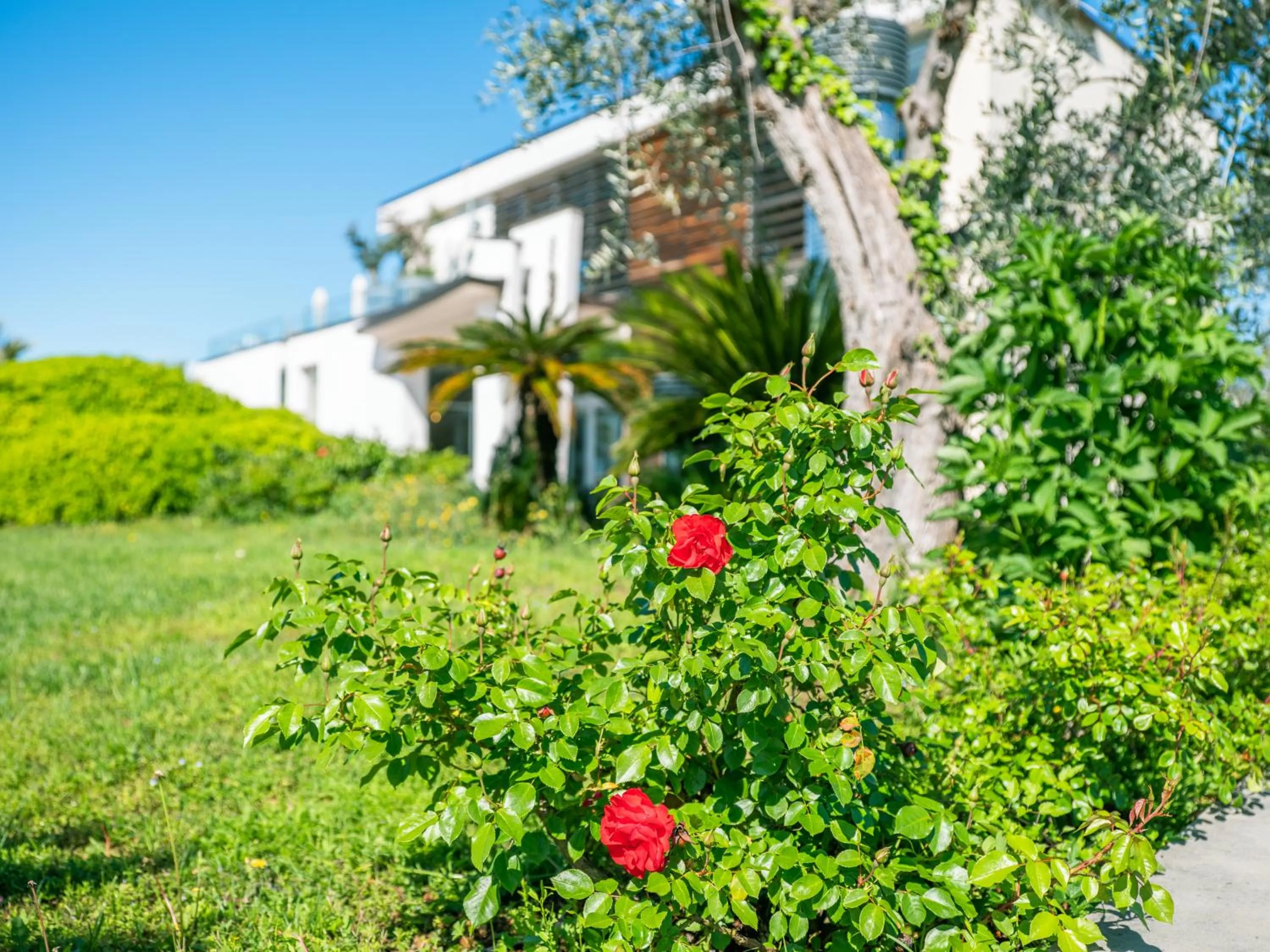 Property building in Parc Hotel Germano Suites & Apartments