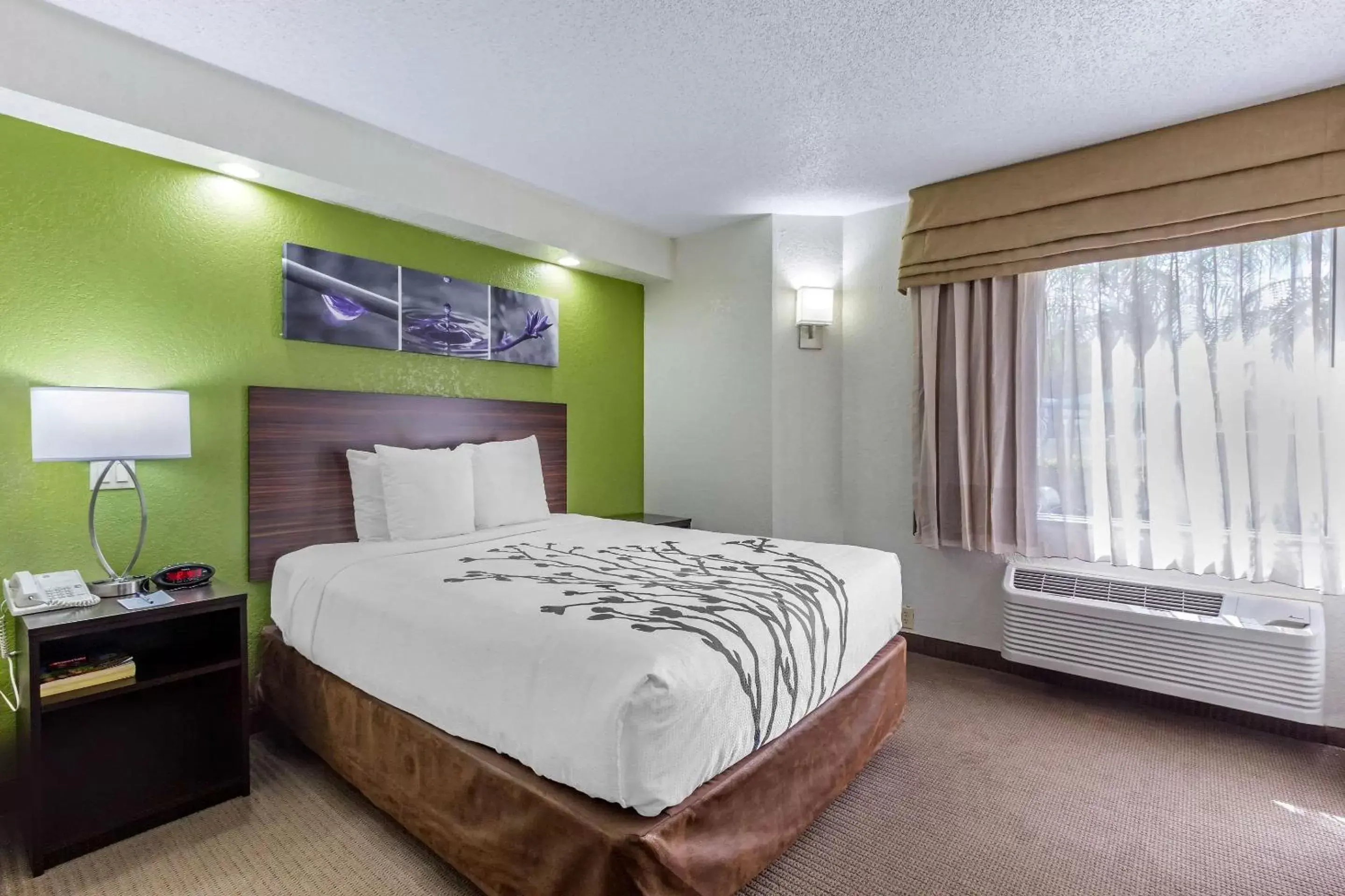 Photo of the whole room, Bed in Sleep Inn near Busch Gardens - USF