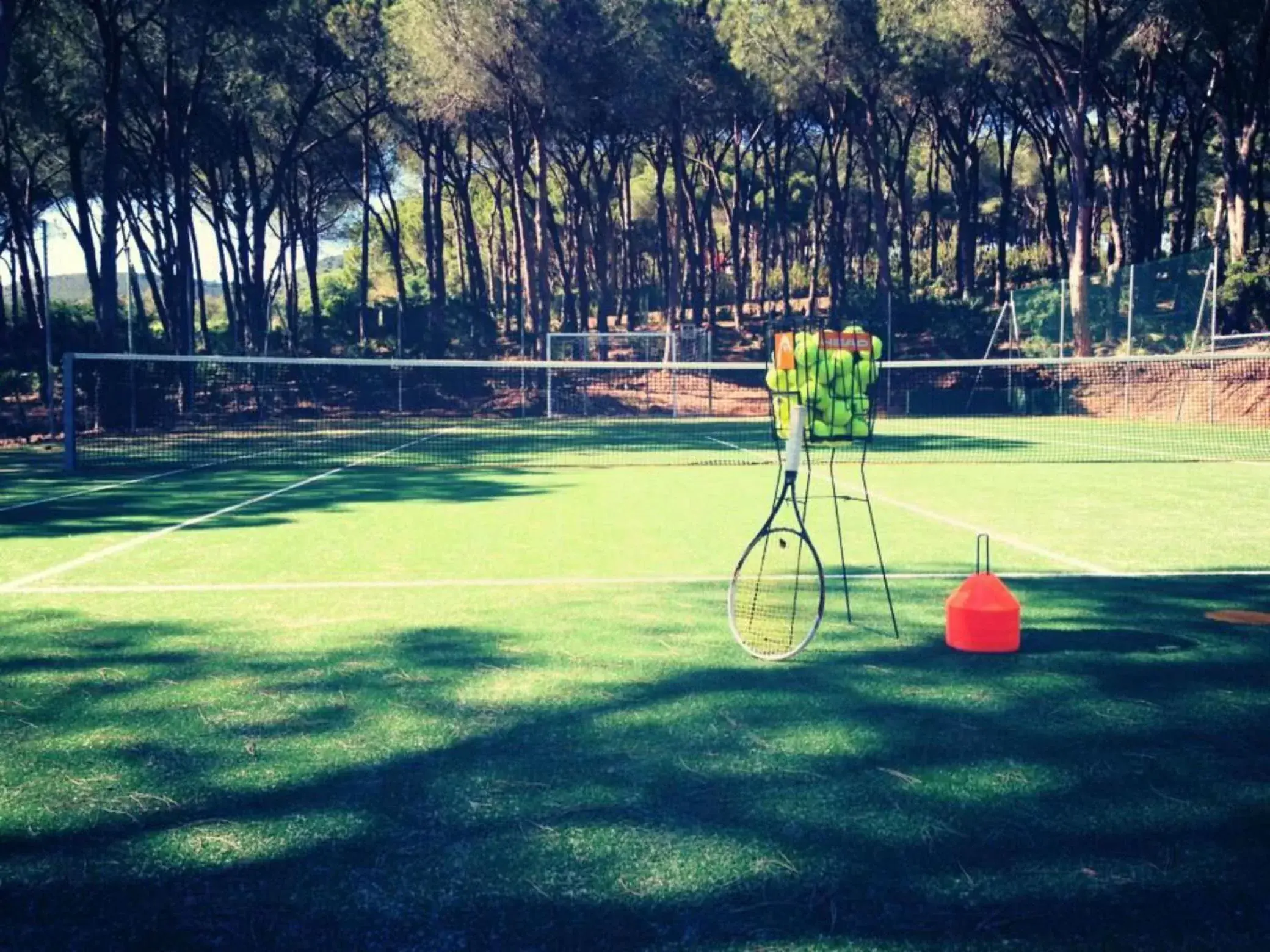 Tennis court, Other Activities in Hotel Dei Pini