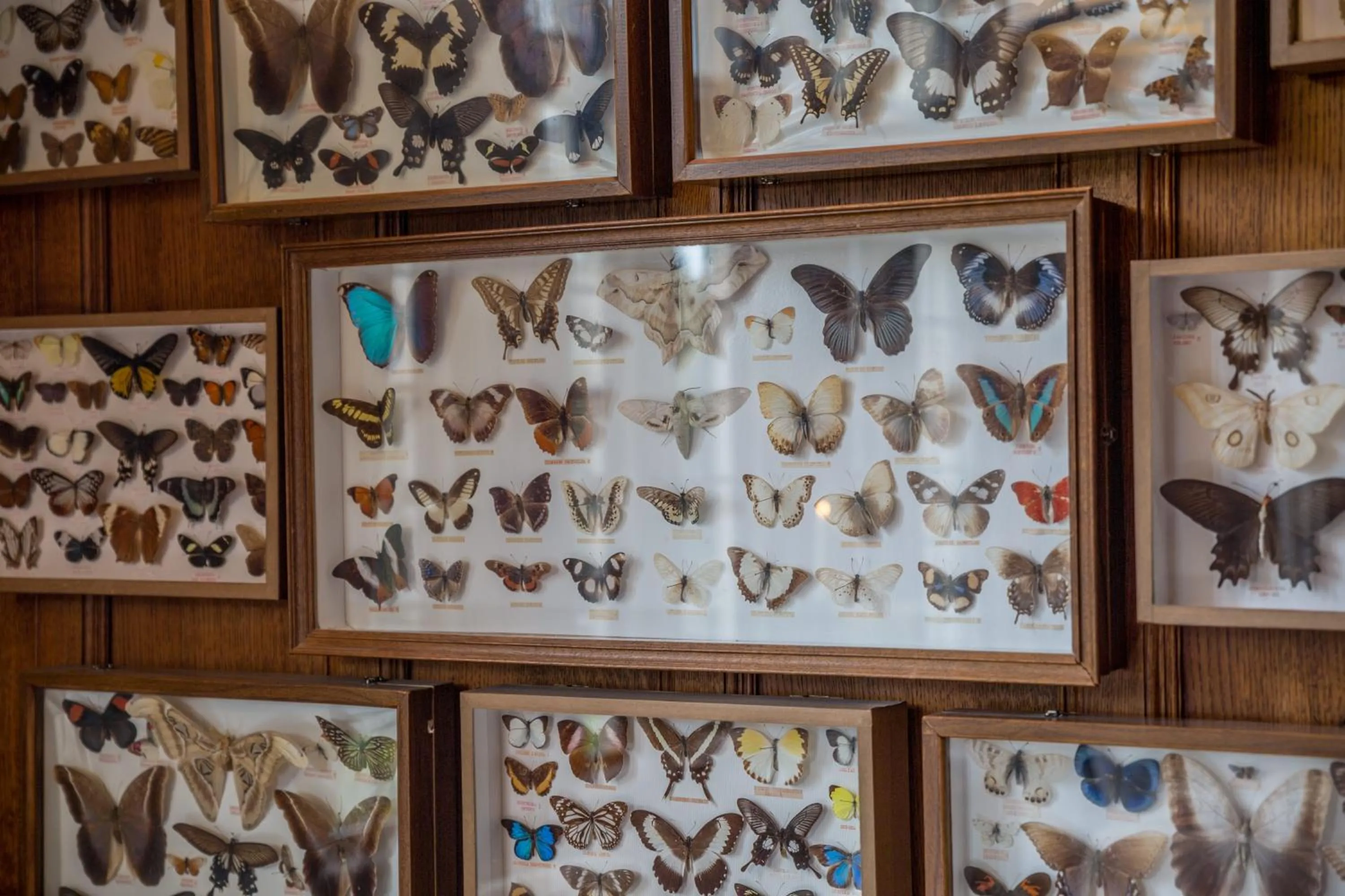 Decorative detail in Bovey Castle