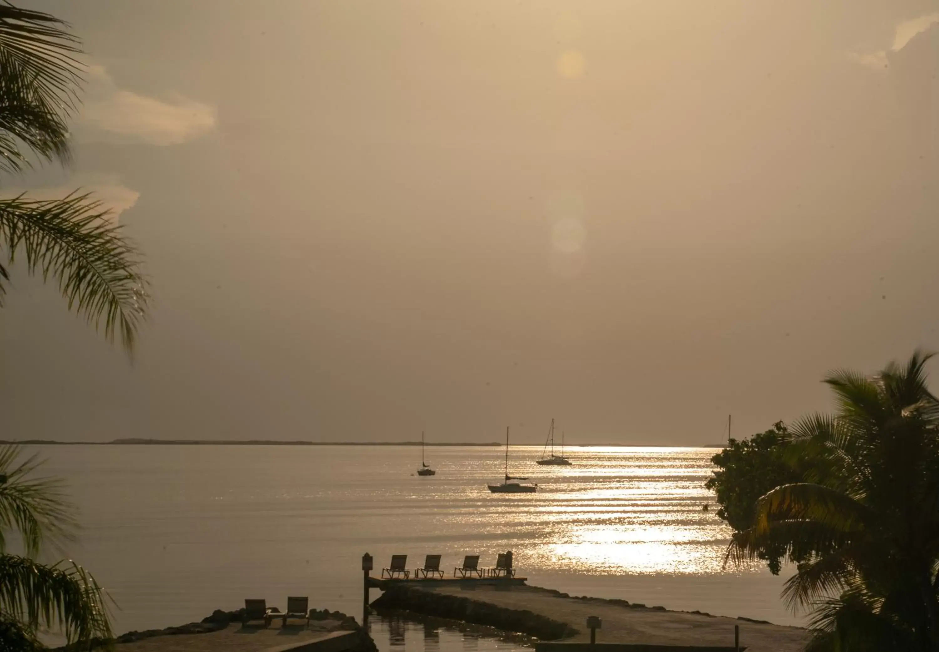 Sea view, Beach in Bayside Inn Key Largo