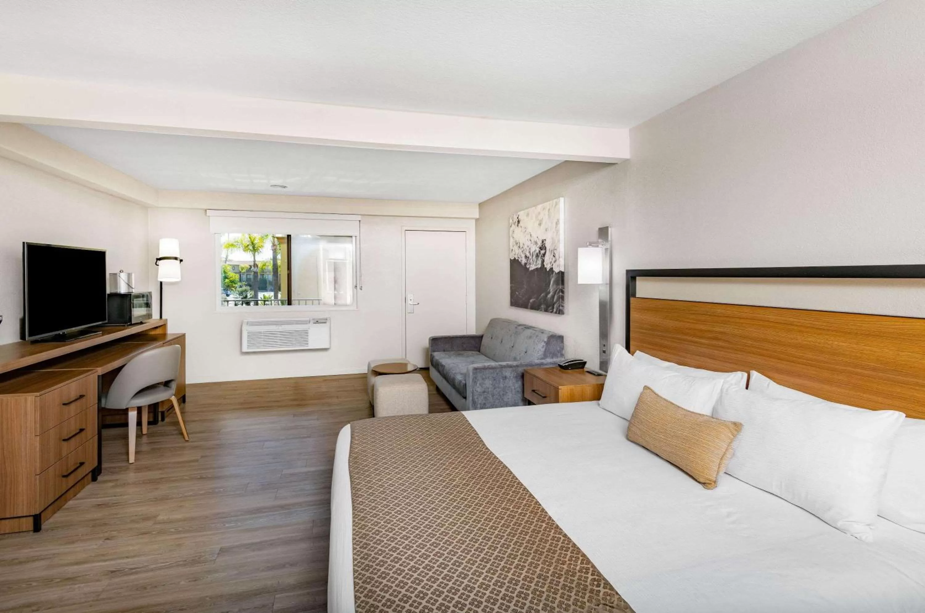 Photo of the whole room in Wyndham Garden San Diego
