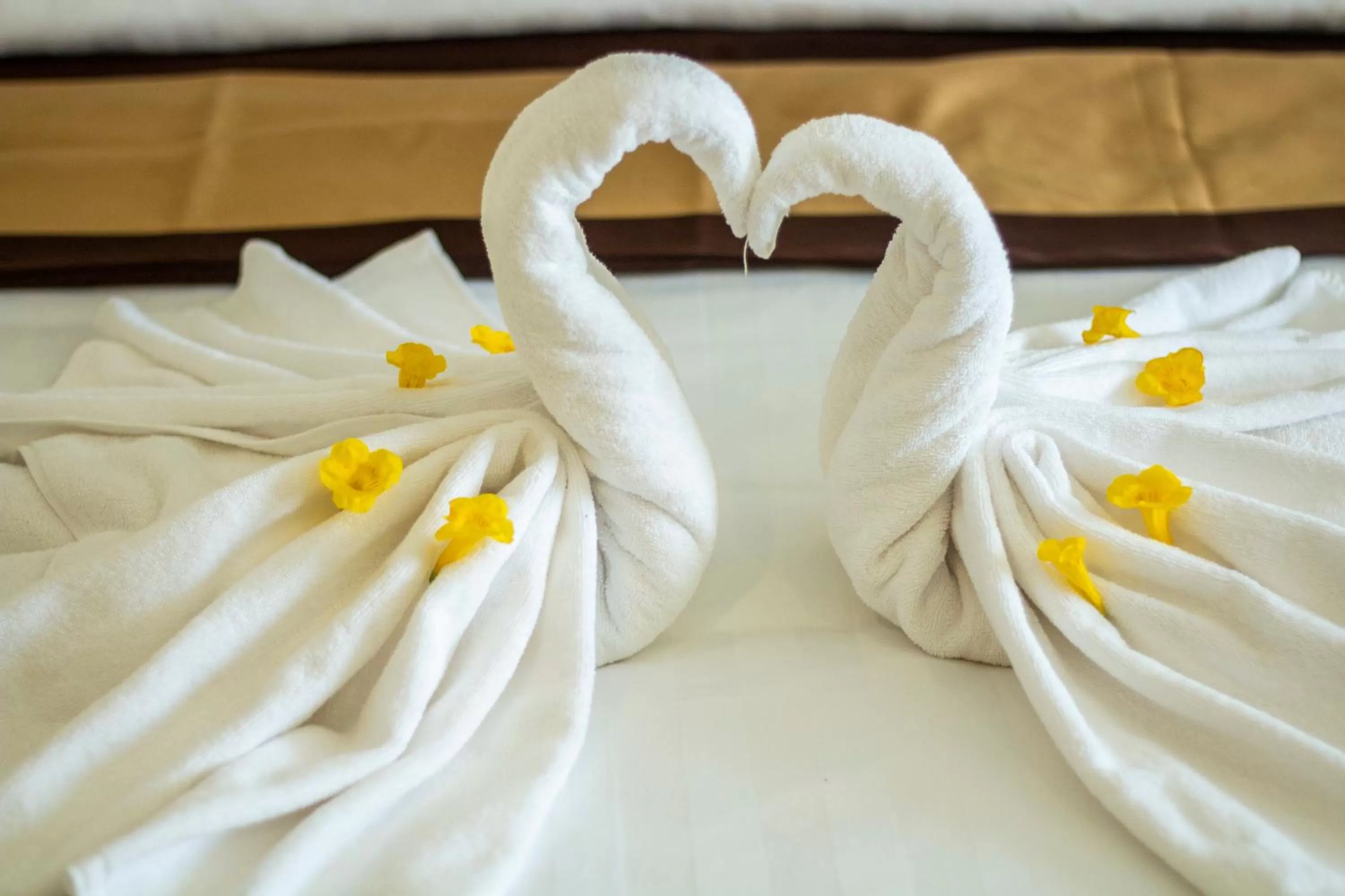 Restaurant/places to eat in Kampong Thom Palace Hotel