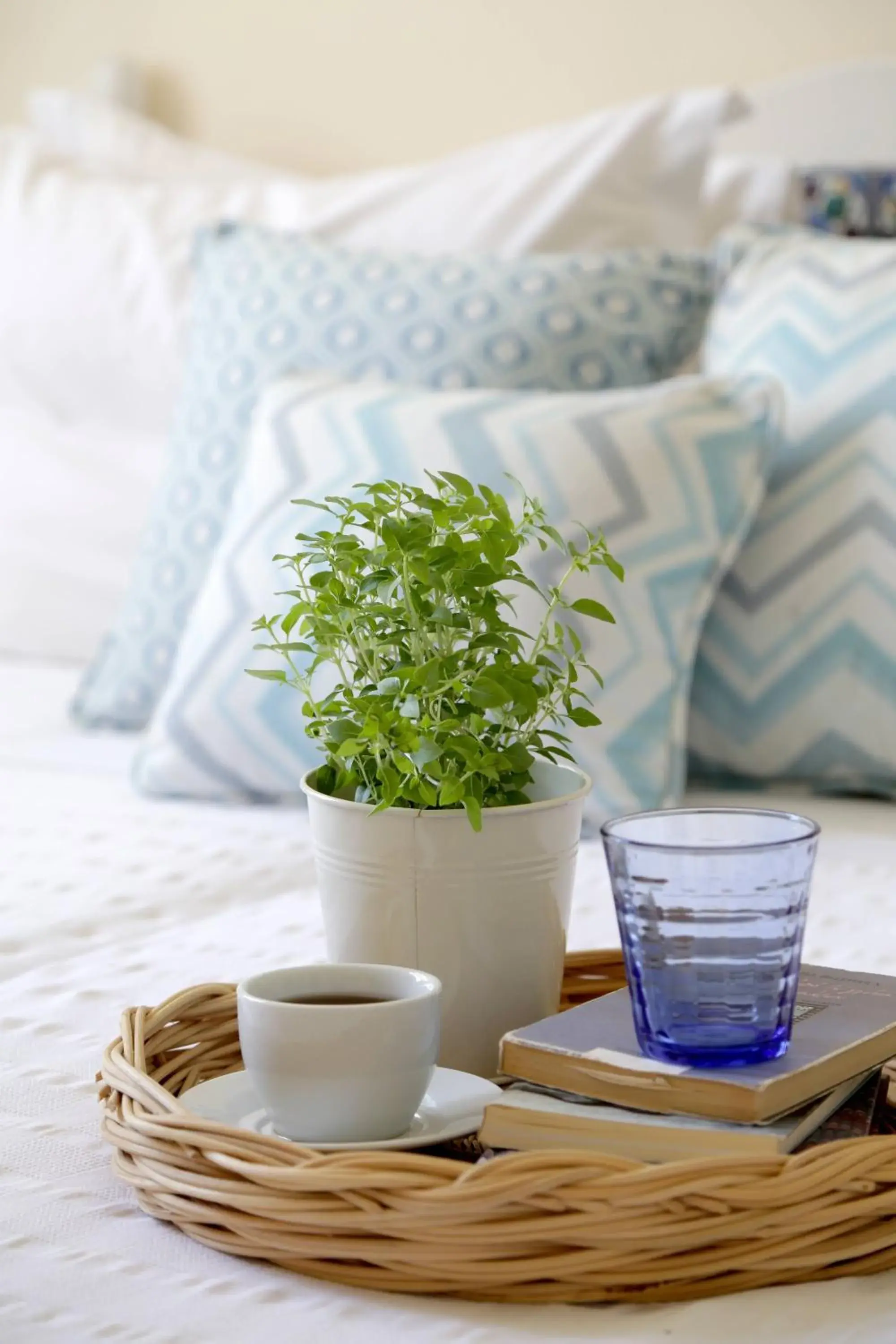 Double Room in Skopelos Village Hotel Double Room in Skopelos Village Hotel